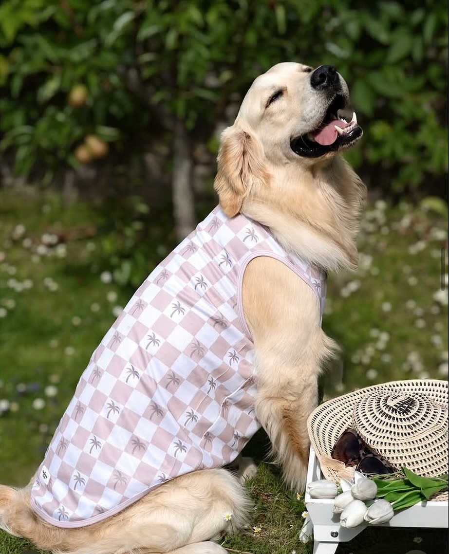 Daisys Dog EmPawrium