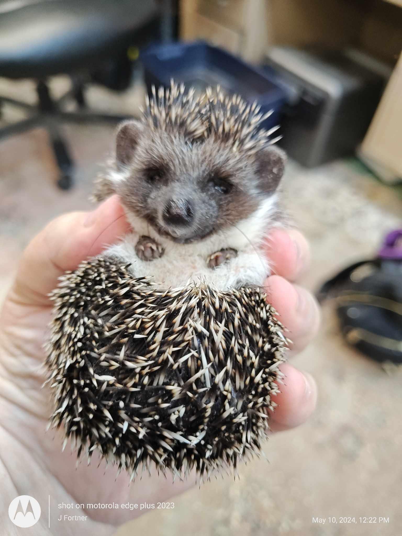 Paws-N-Claws Pet Shop Abilene