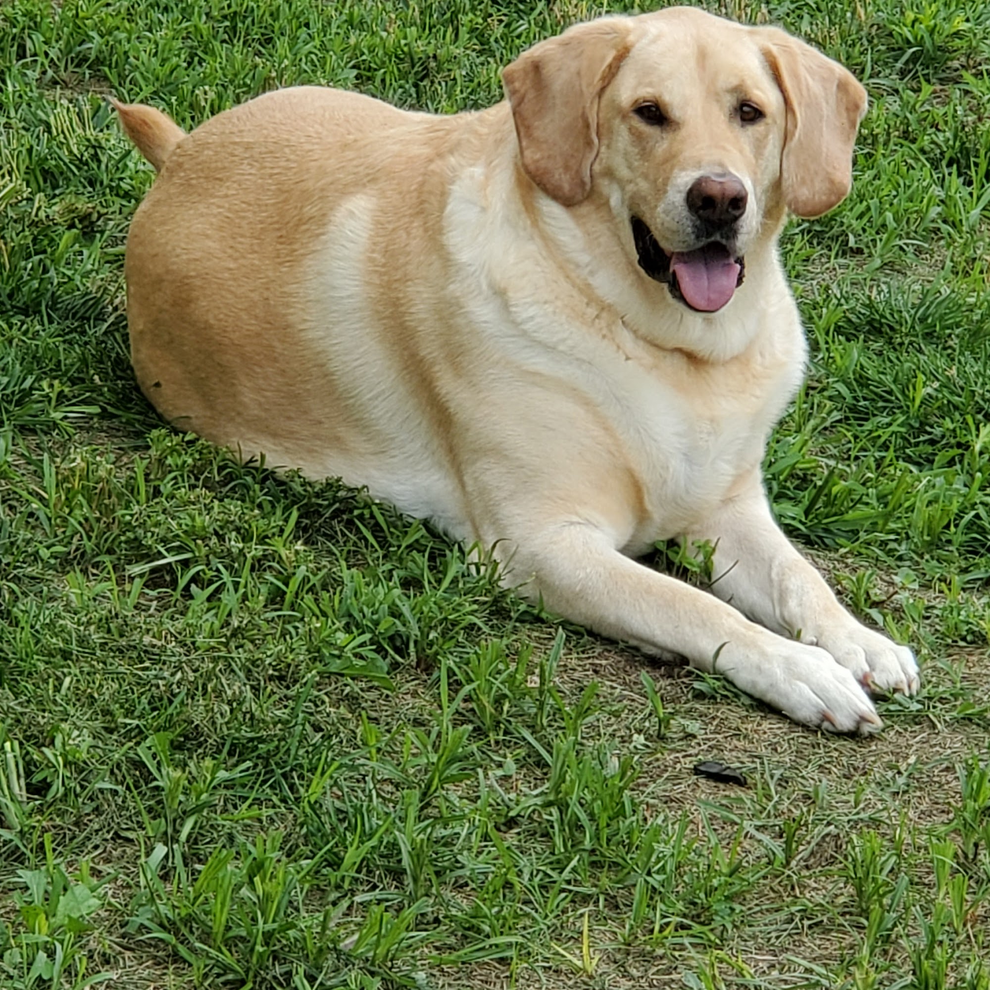 Baldwin Hilltop Animal Health Baldwin City