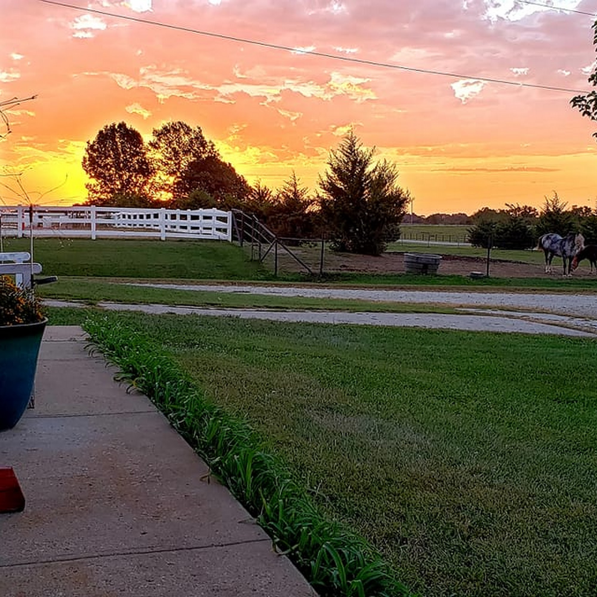 Hillman Horsemanship Bucyrus