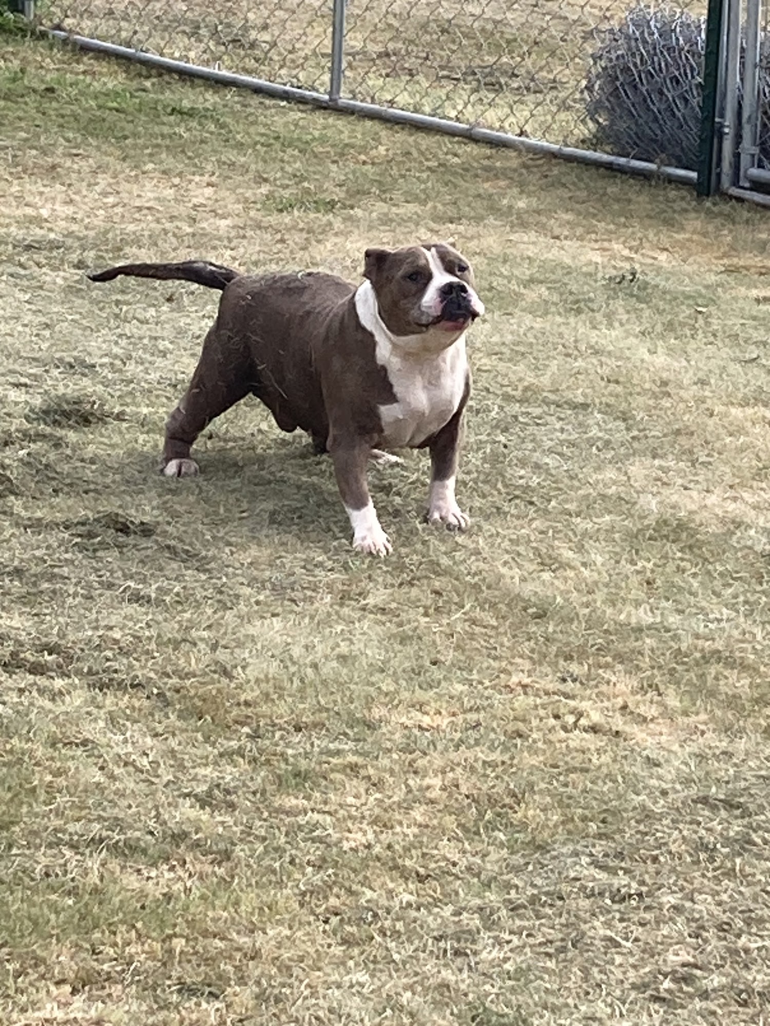 Tallgrass Veterinary Hospital Concordia