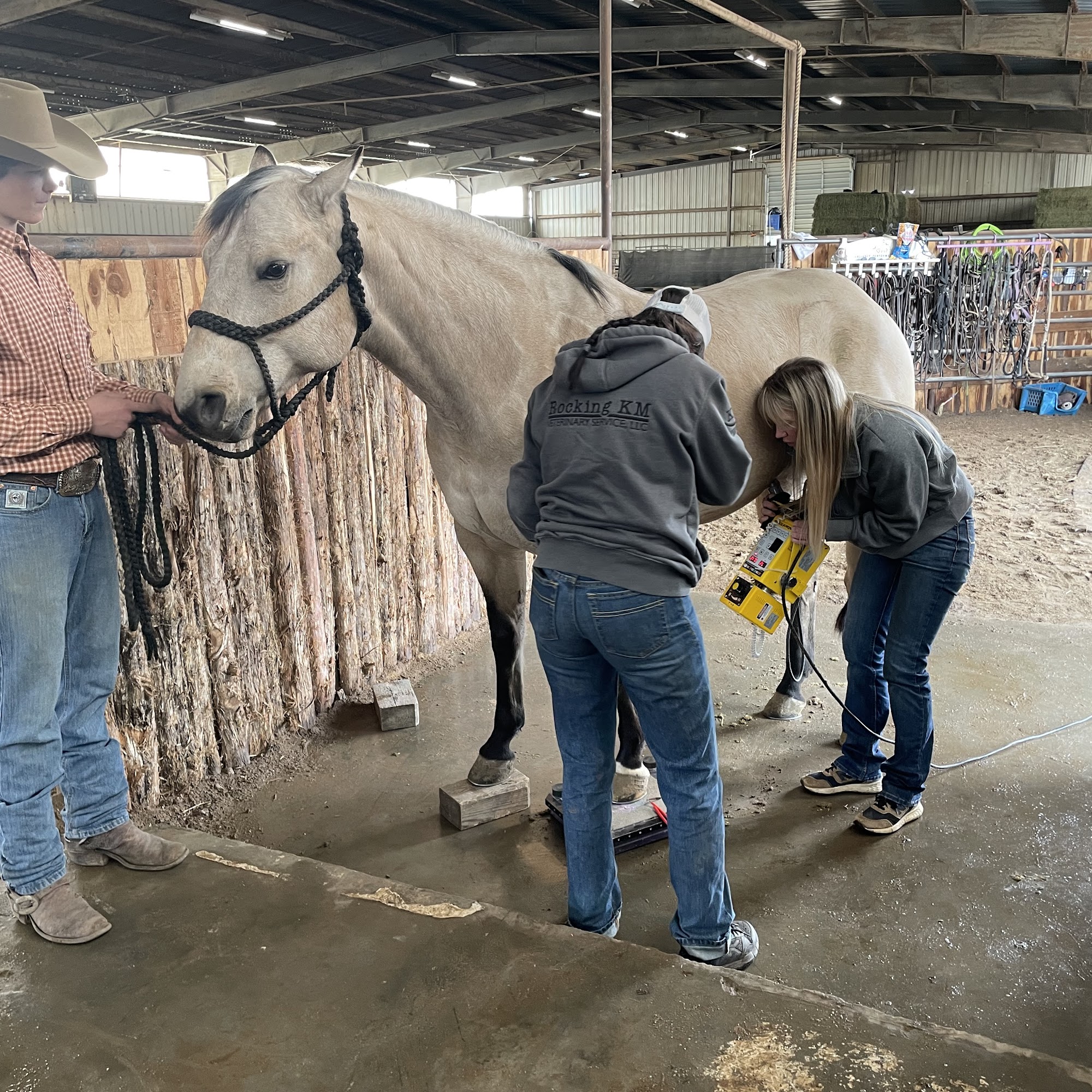 Rocking KM Veterinary Service, LLC Council Grove