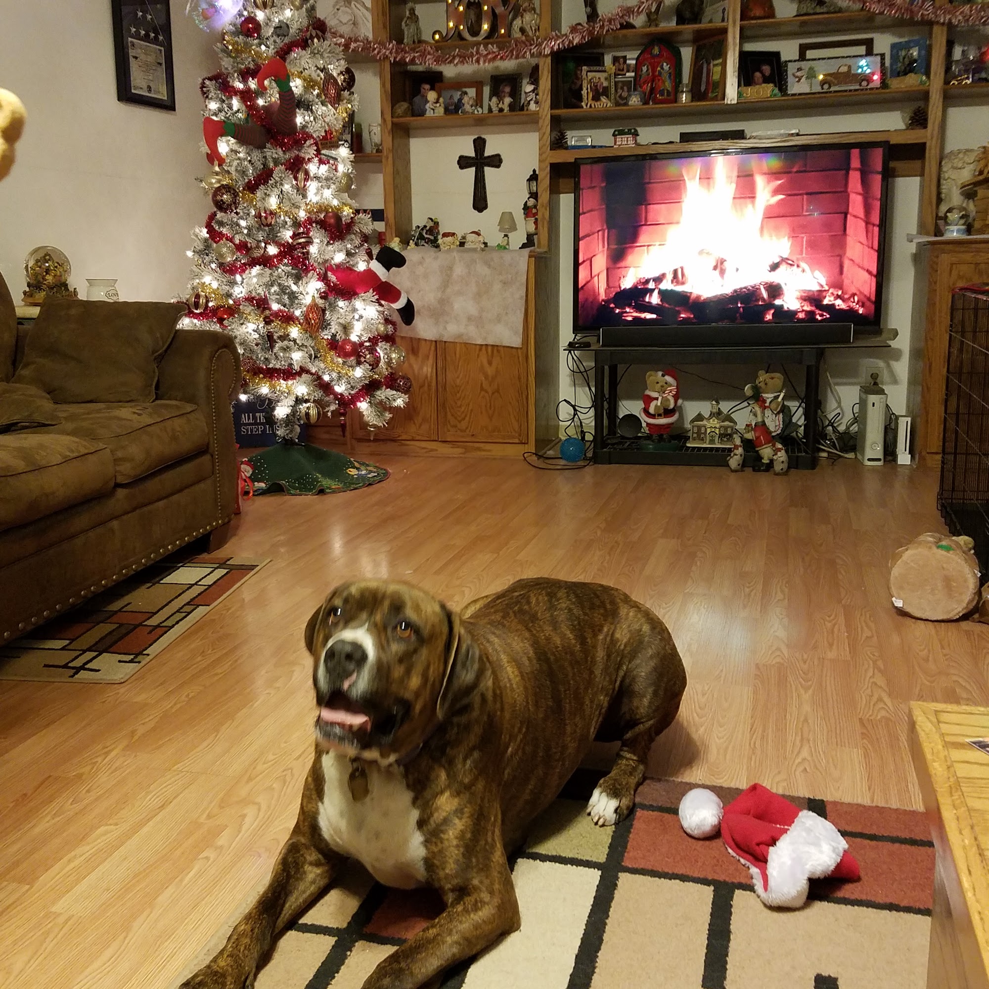 Tanglewood Veterinary Clinic Derby