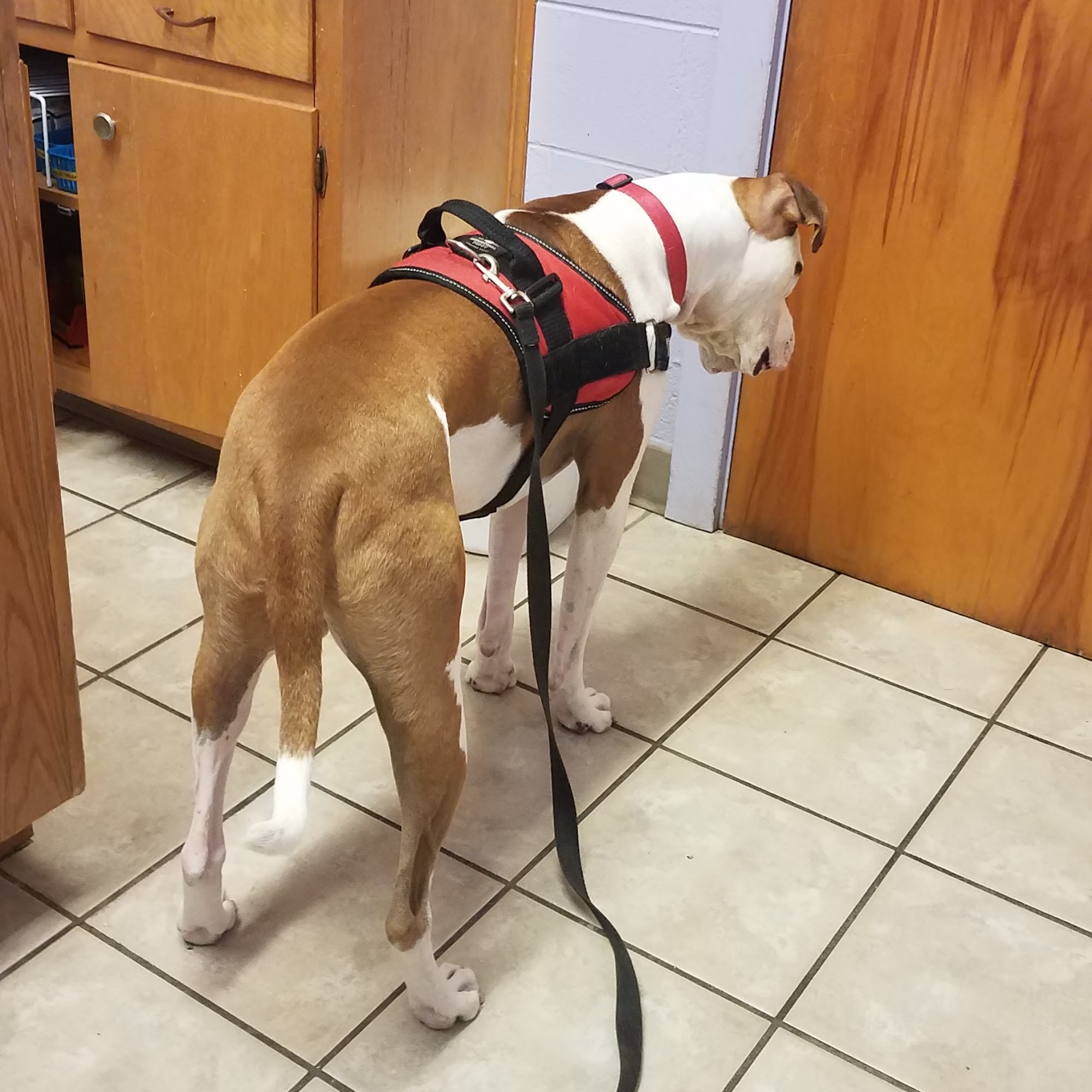 Ripple & Liebl Veterinary Hospital Dodge City