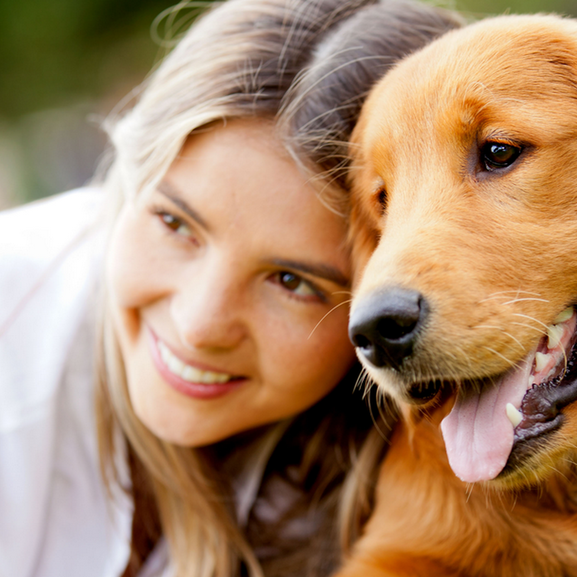 Dodge City Veterinary Clinic Dodge City