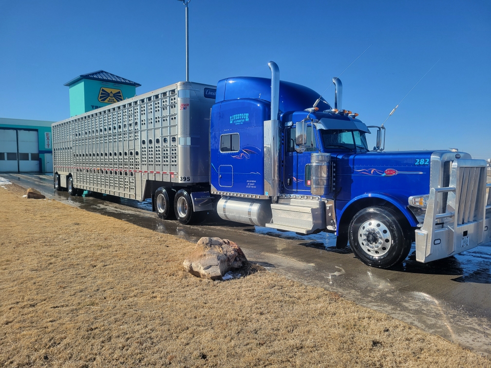 Blue Beacon Truck Wash of Dodge City, KS Dodge City
