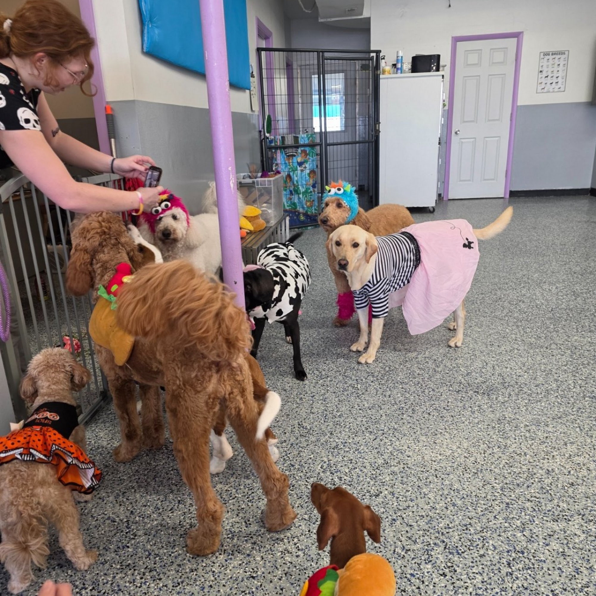 Raise Your Paws Emporia