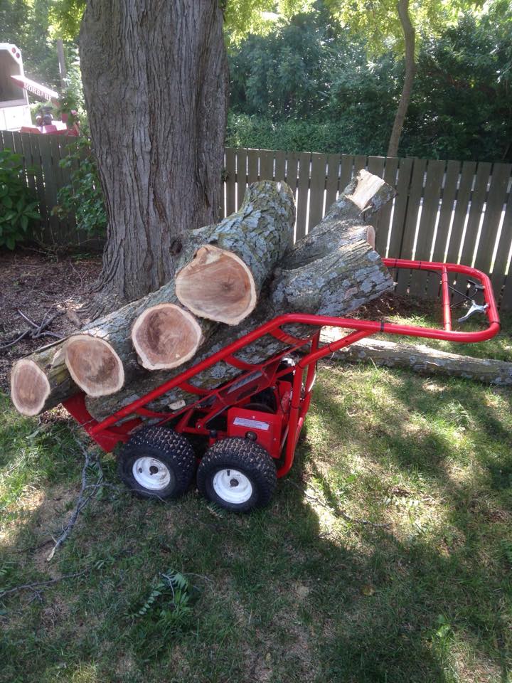 Schonberg Tree Service LLC