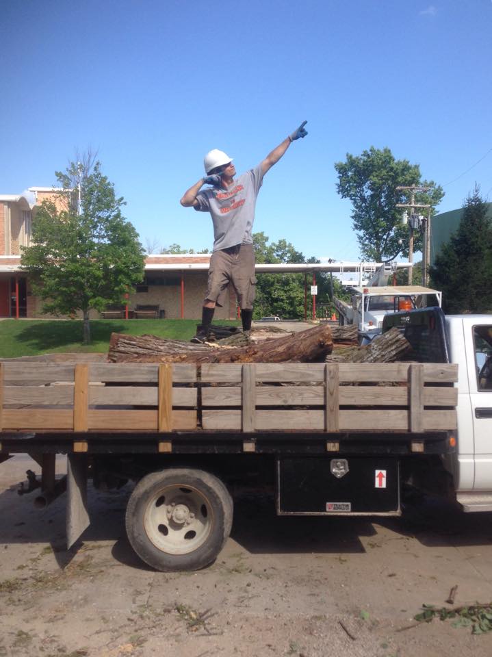 Schonberg Tree Service LLC