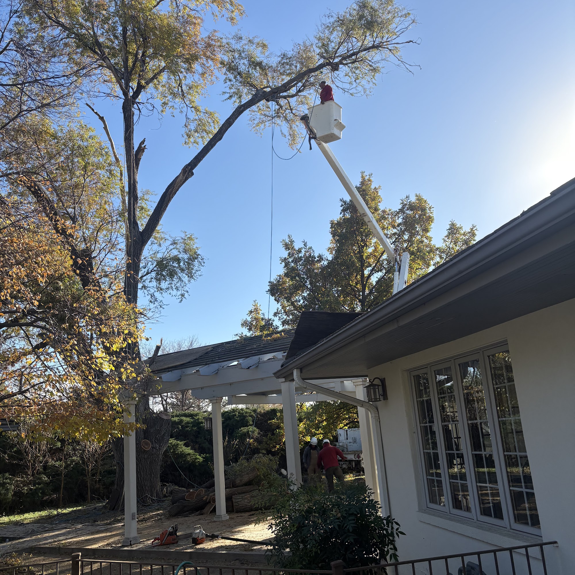 Pro Cut Tree Service Inc