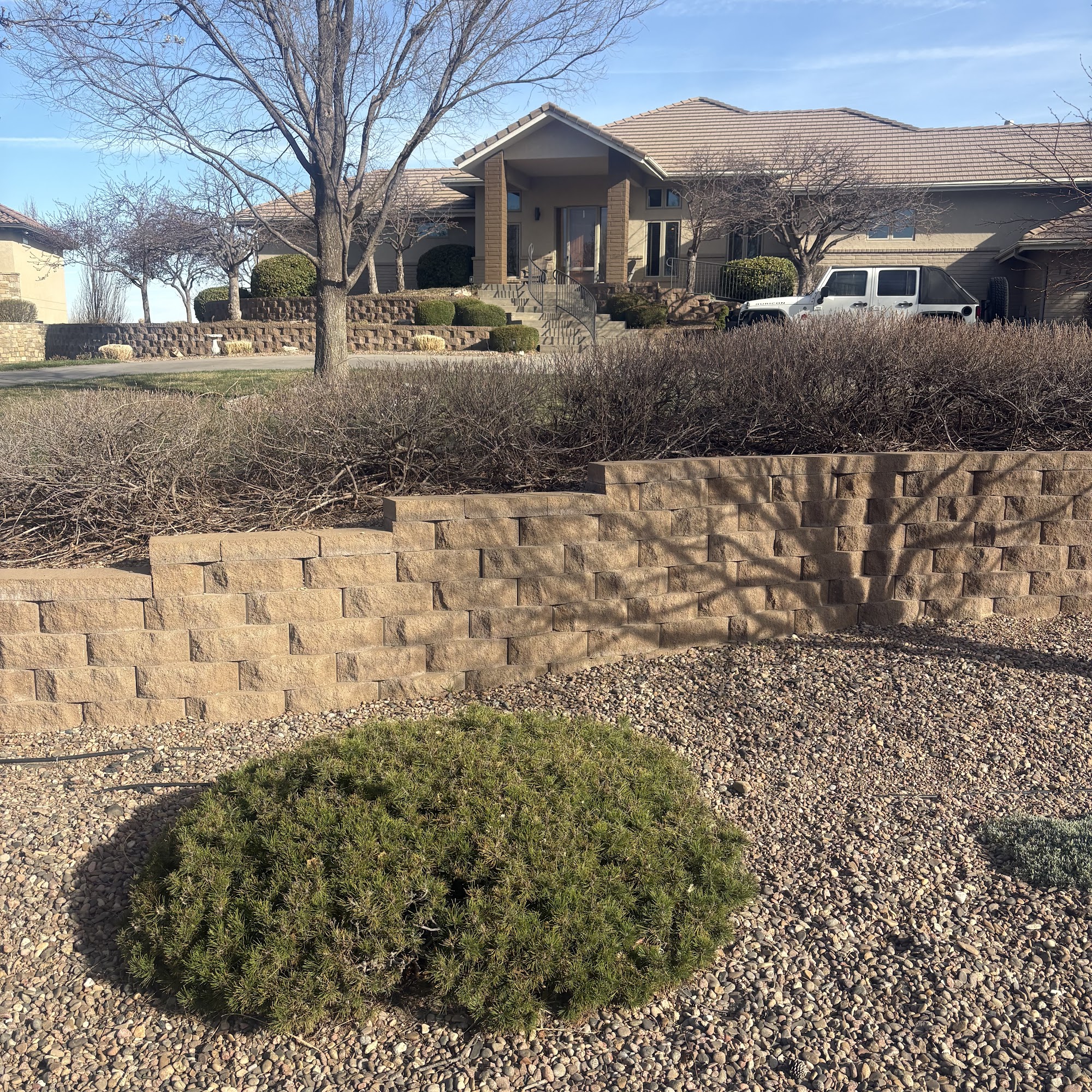 Pro Cut Tree Service Inc