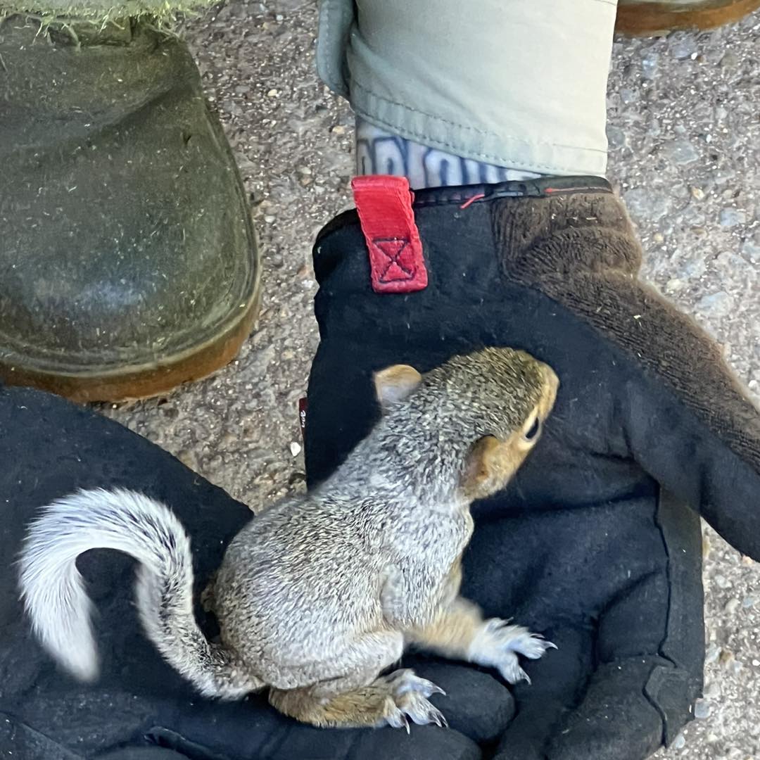 Grass Roots Lawn Services