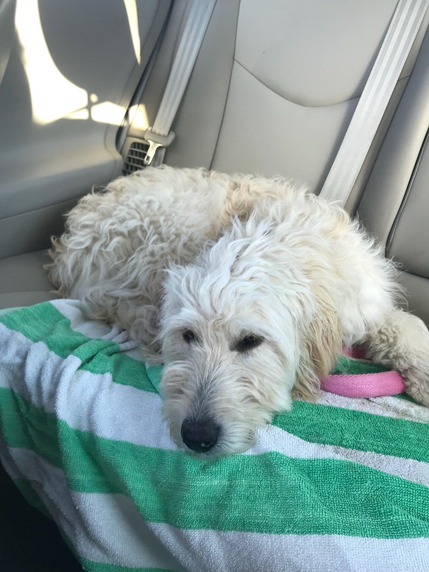 Photo credit: nextdoor