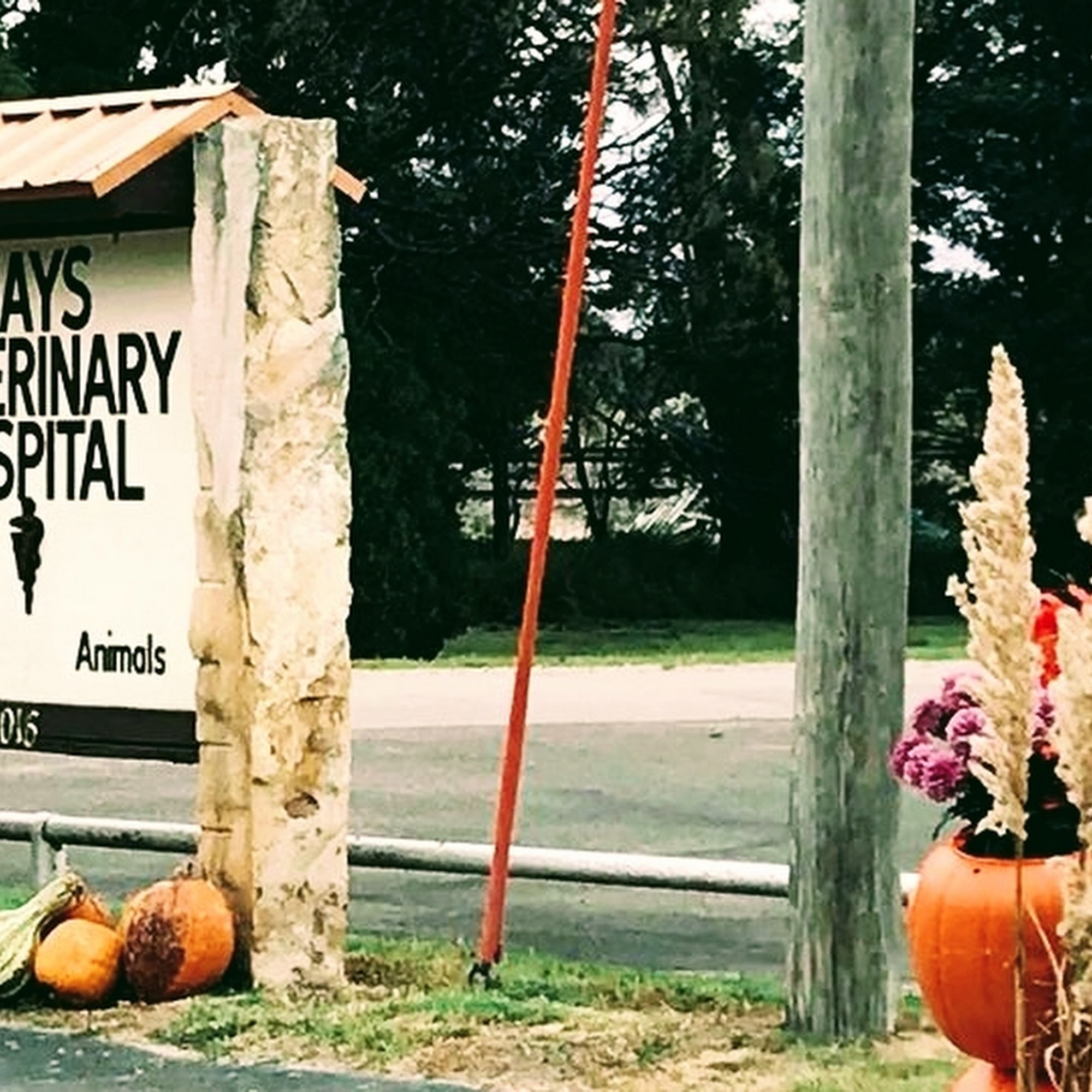 Hays Veterinary Hospital Hays