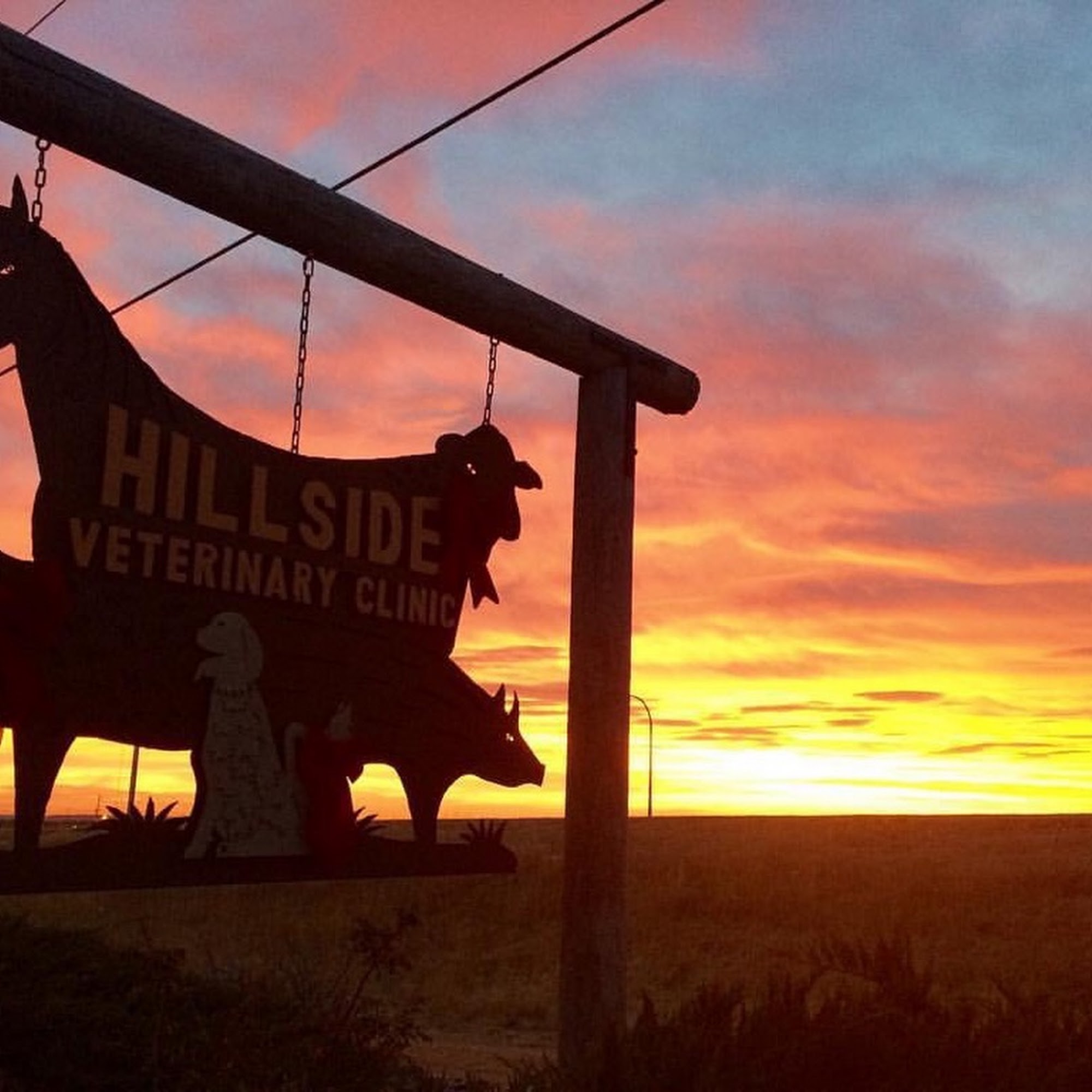 Hillside Veterinary Clinic Hays