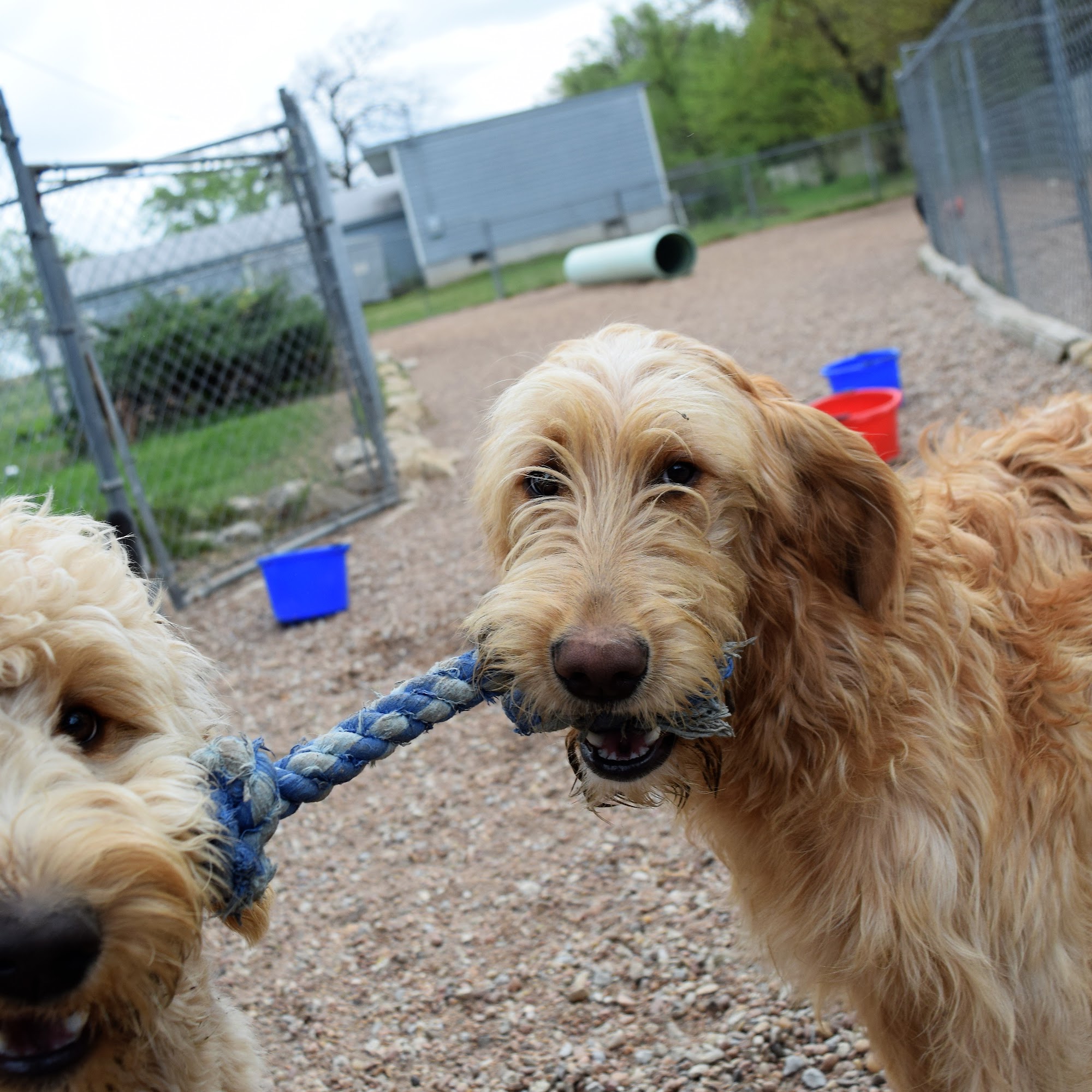 Hound Dog Hotel, LLC Haysville