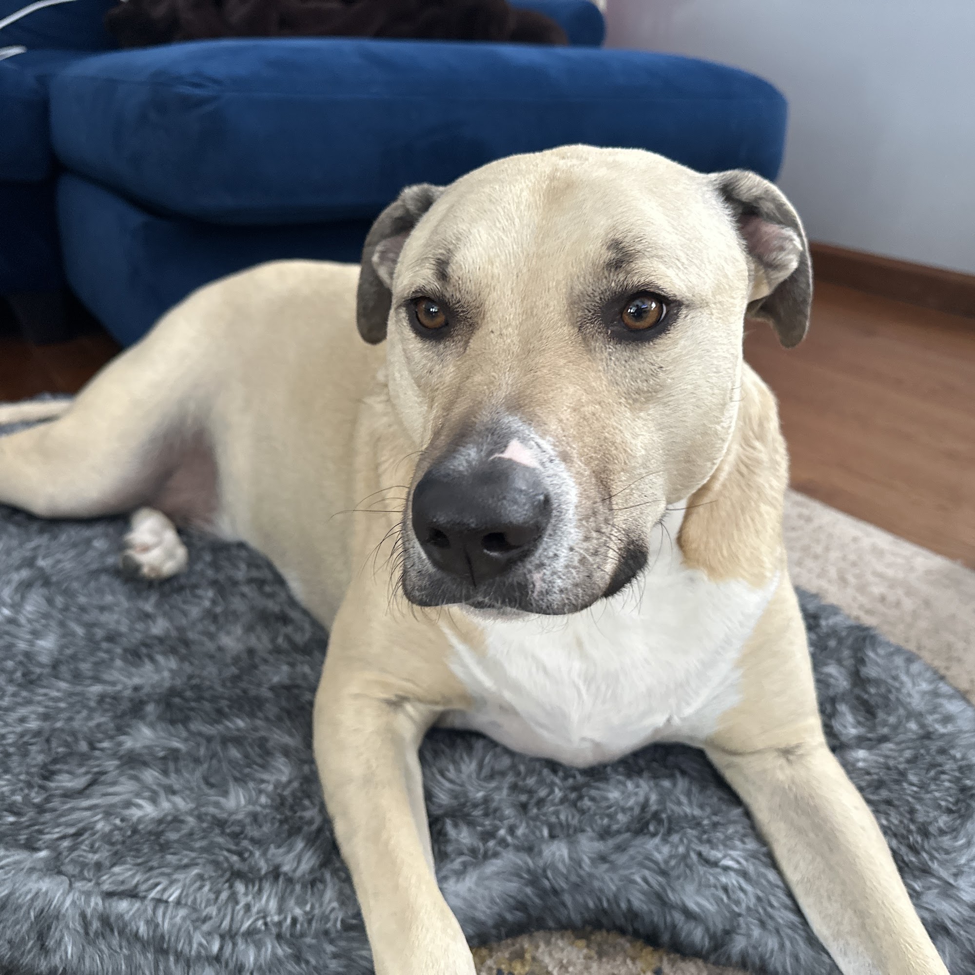 Nek Veterinary Services Group Hiawatha