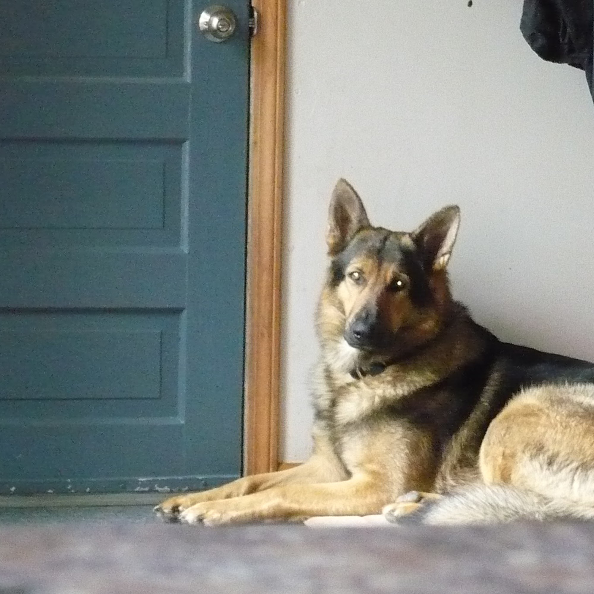 Barta Animal Hospital Independence