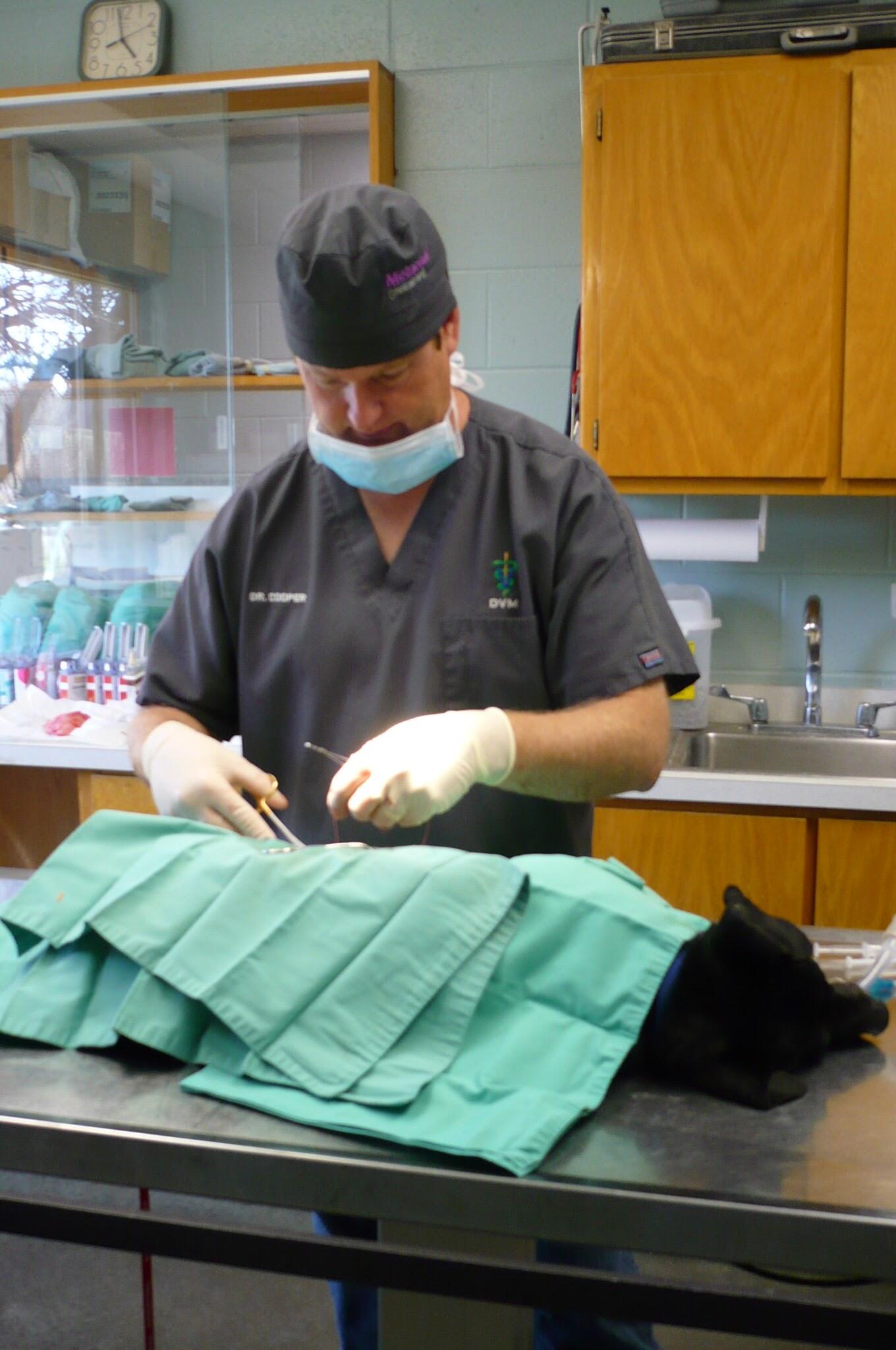 Photo credit: nextdoor