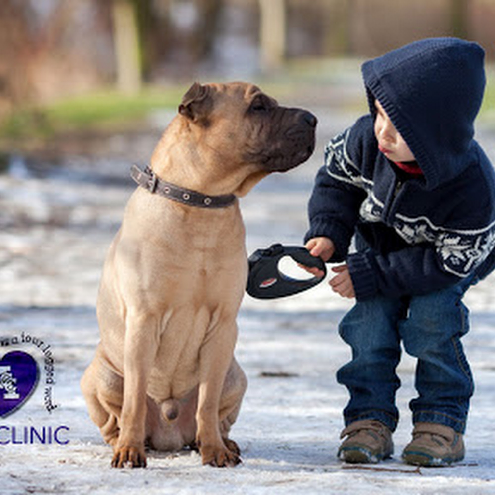 Animal Care Clinic Junction City