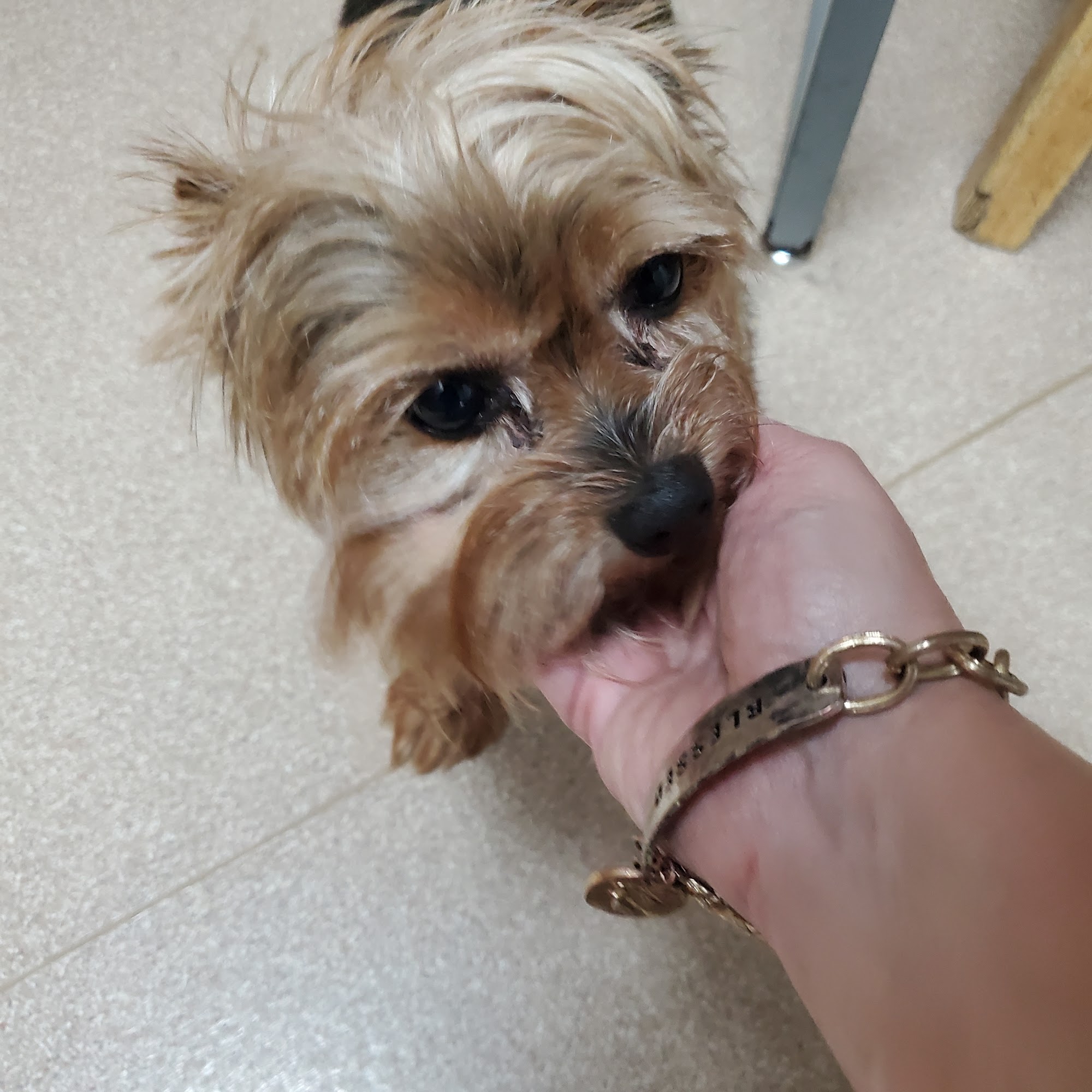 R C Kennels Junction City