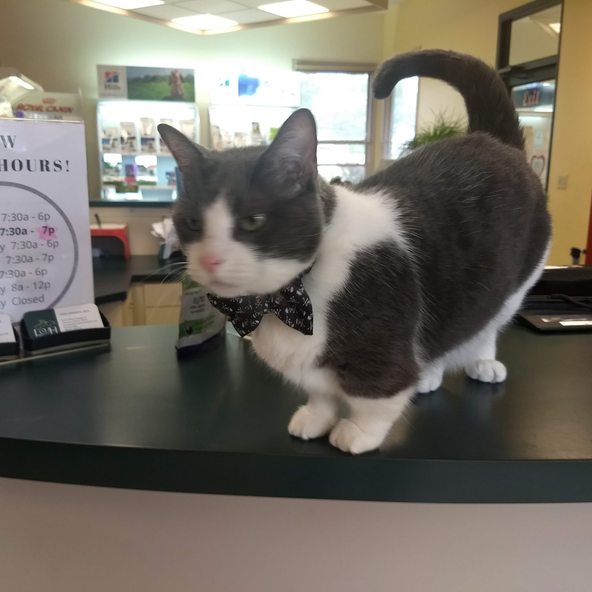 Lawrence Veterinary Hospital Lawrence