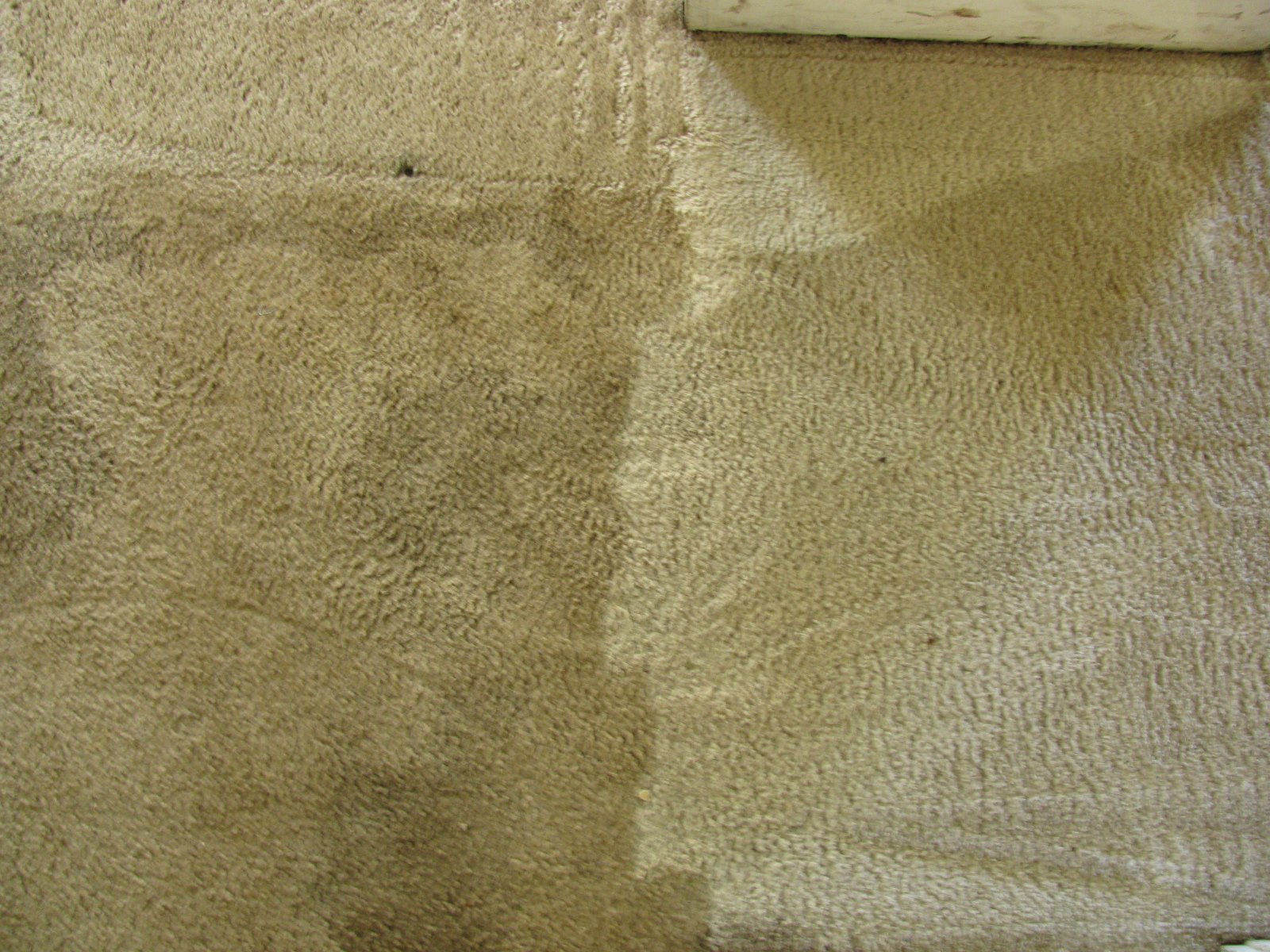 Leon's Carpet Pros