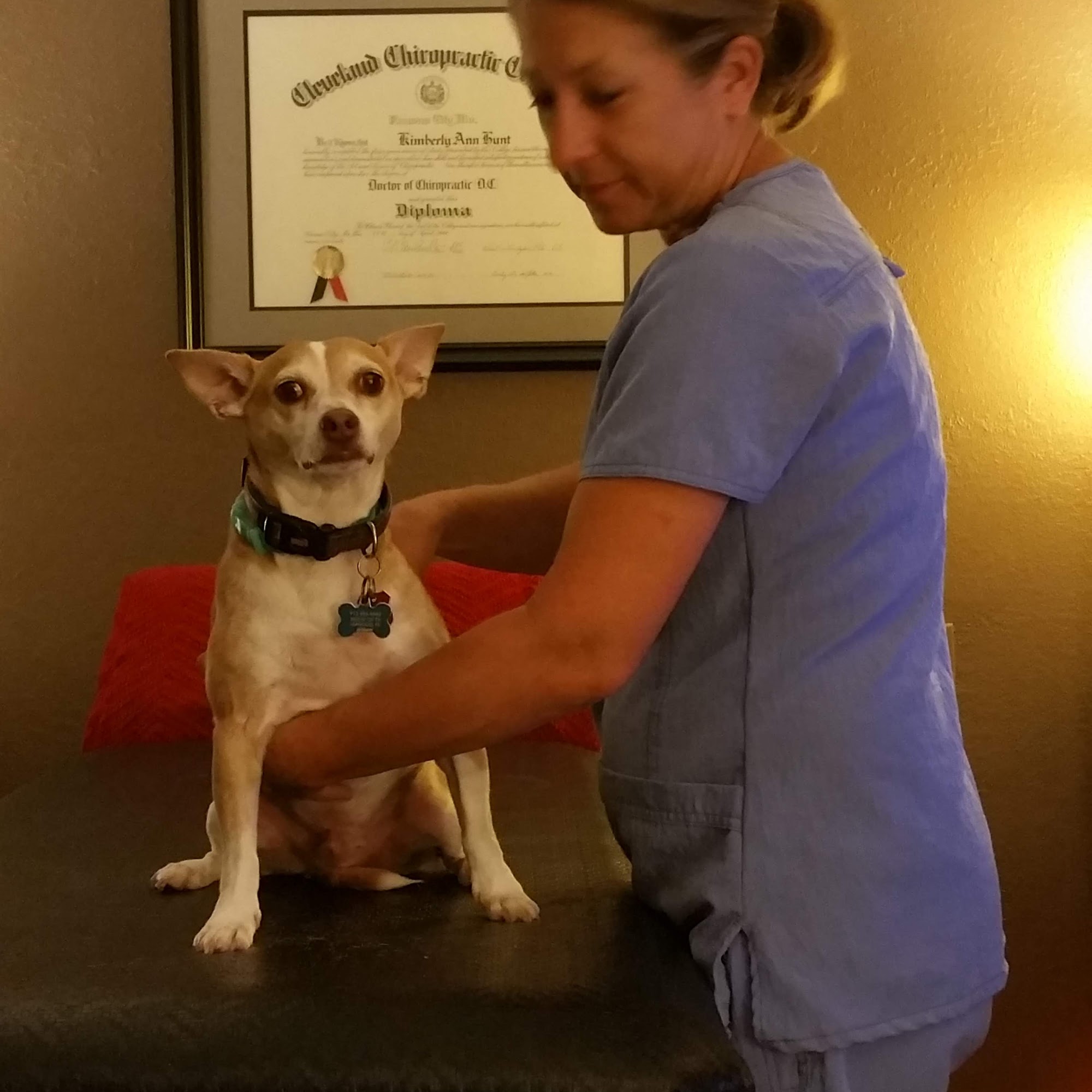 State Line Animal Hospital Leawood