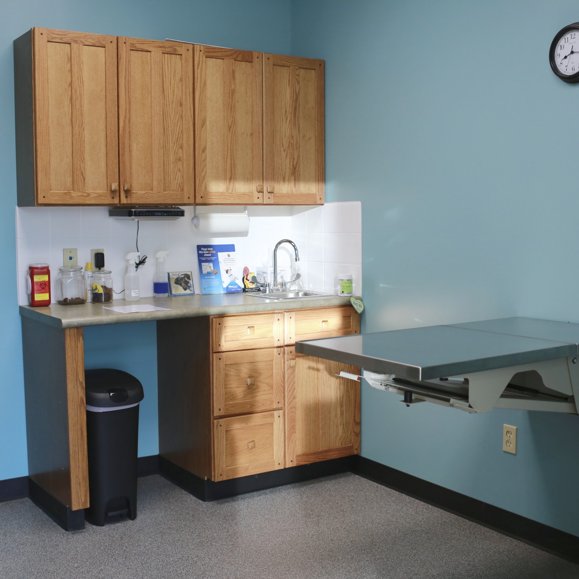 Ironhorse Veterinary Care Leawood