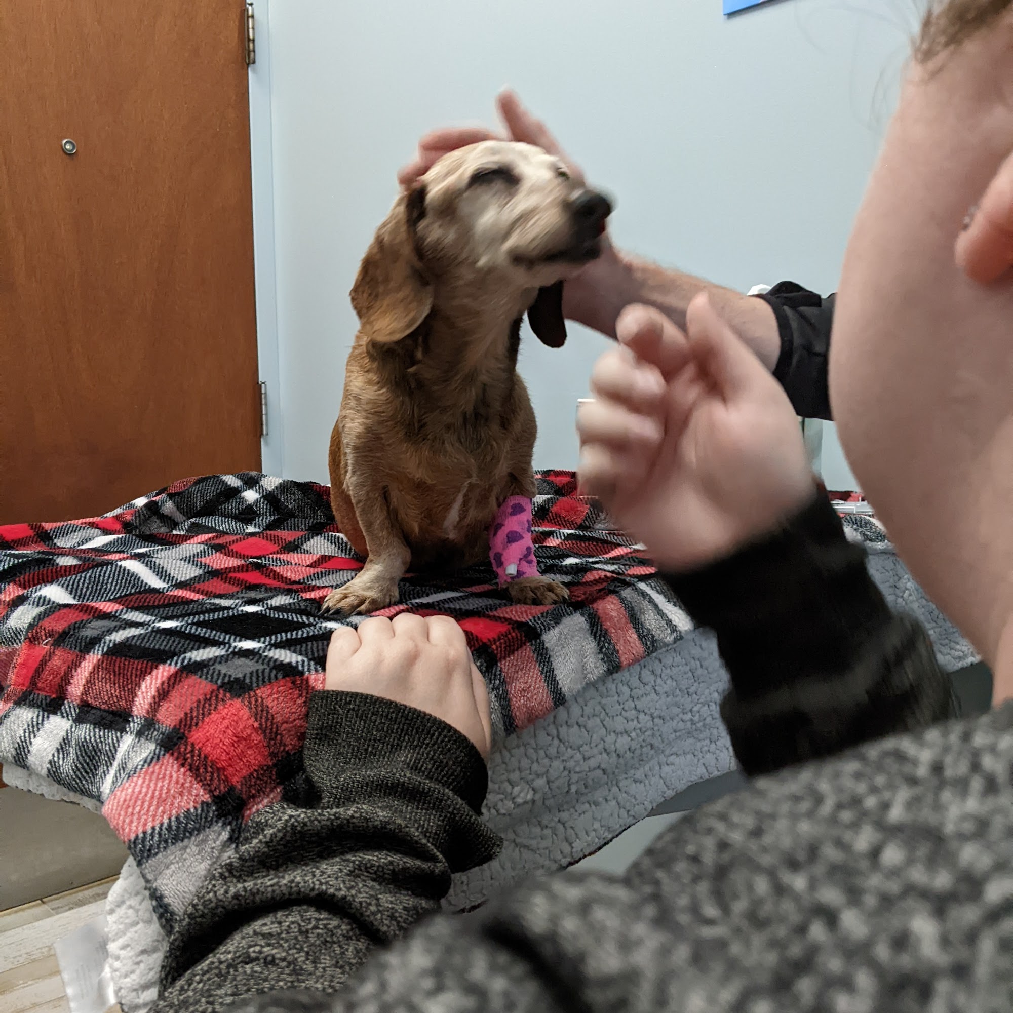 Marketplace Animal Hospital Lenexa