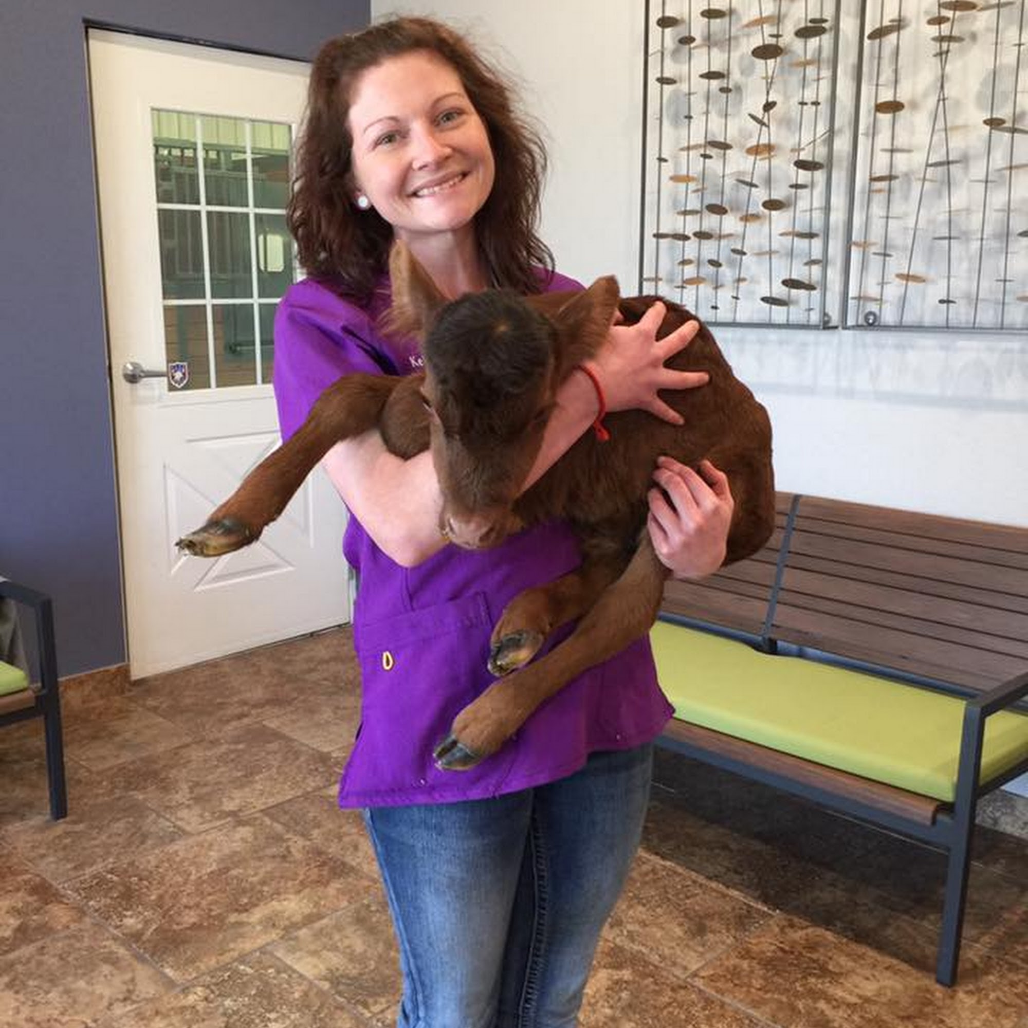 Town & Country Equine & Pet Hospital Louisburg