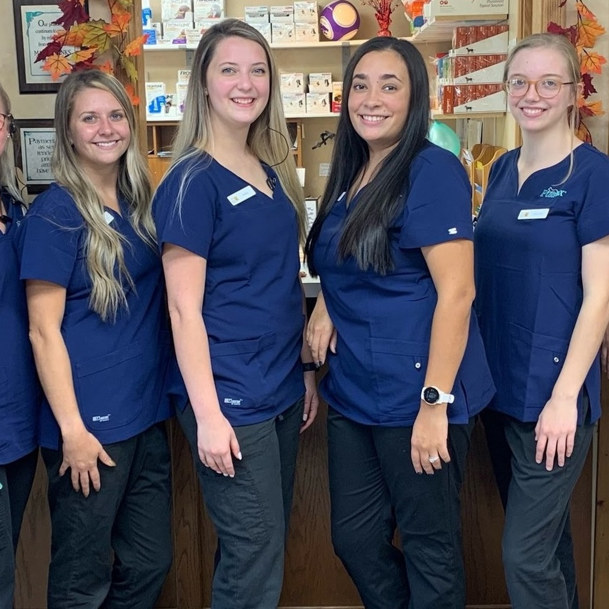 Animal Doctor Blue Hills Manhattan