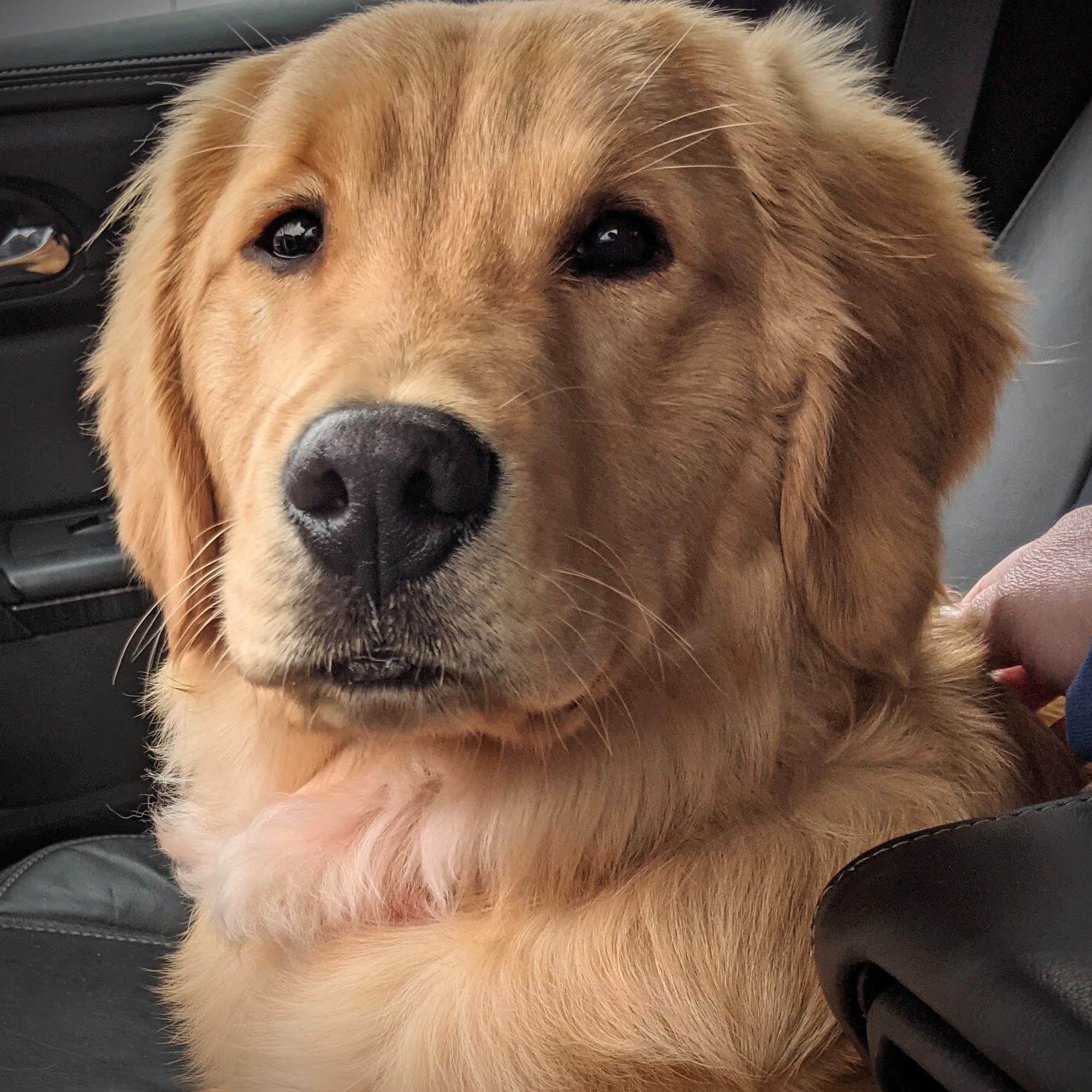 Little Apple Veterinary Hospital Manhattan