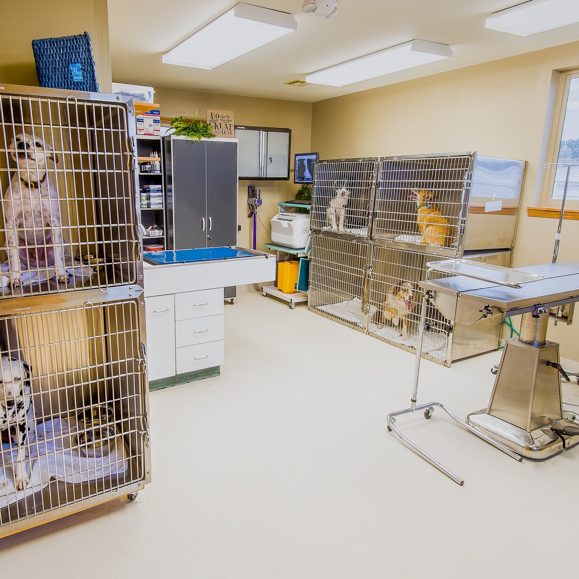 TimberCreek Veterinary Hospital Manhattan