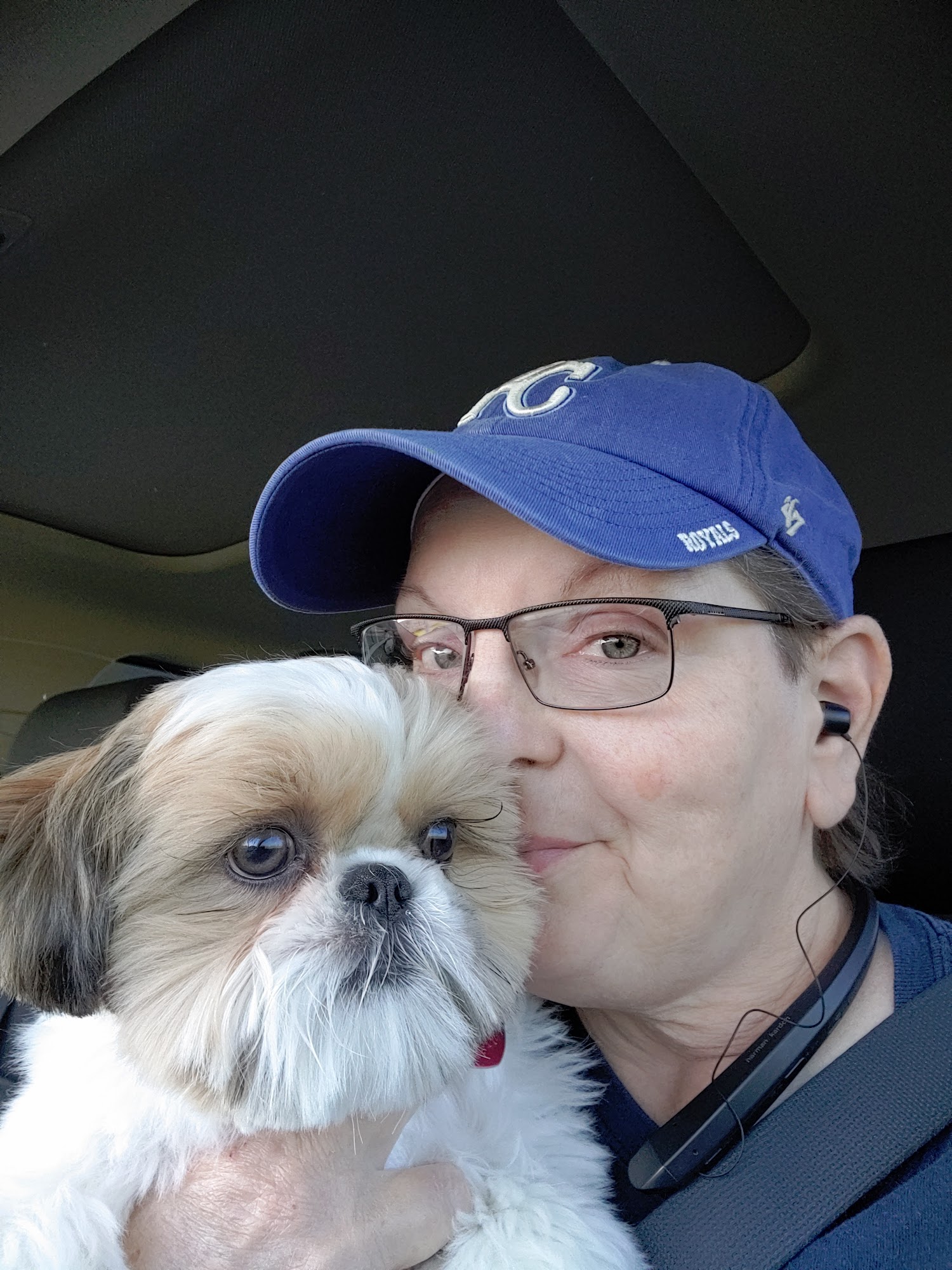 Southview Veterinary Hospital McPherson