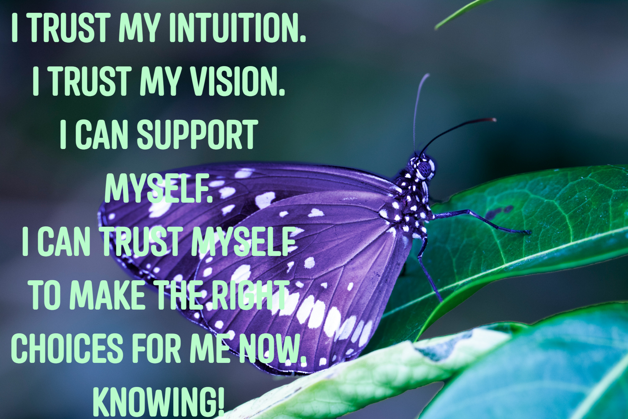 Whole Body Health, LLC