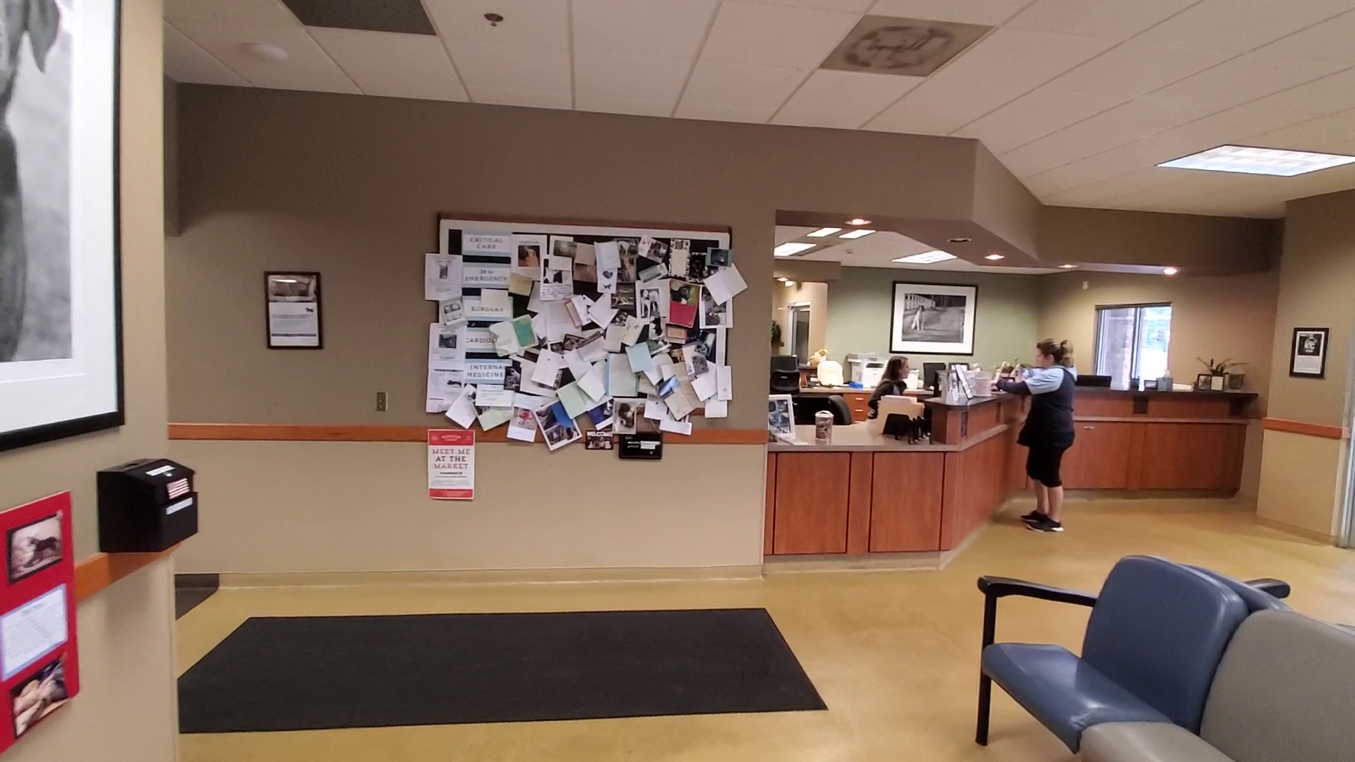 Mission Veterinary Emergency & Specialty Mission