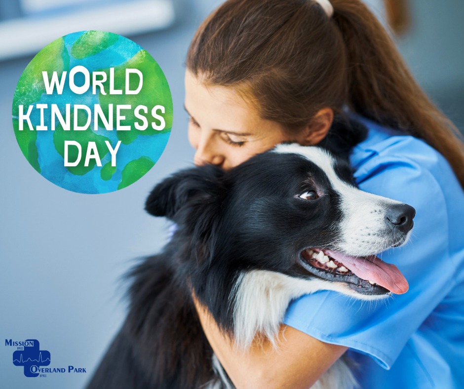 Mission Med Vet: Wilson Eric R DVM Mission