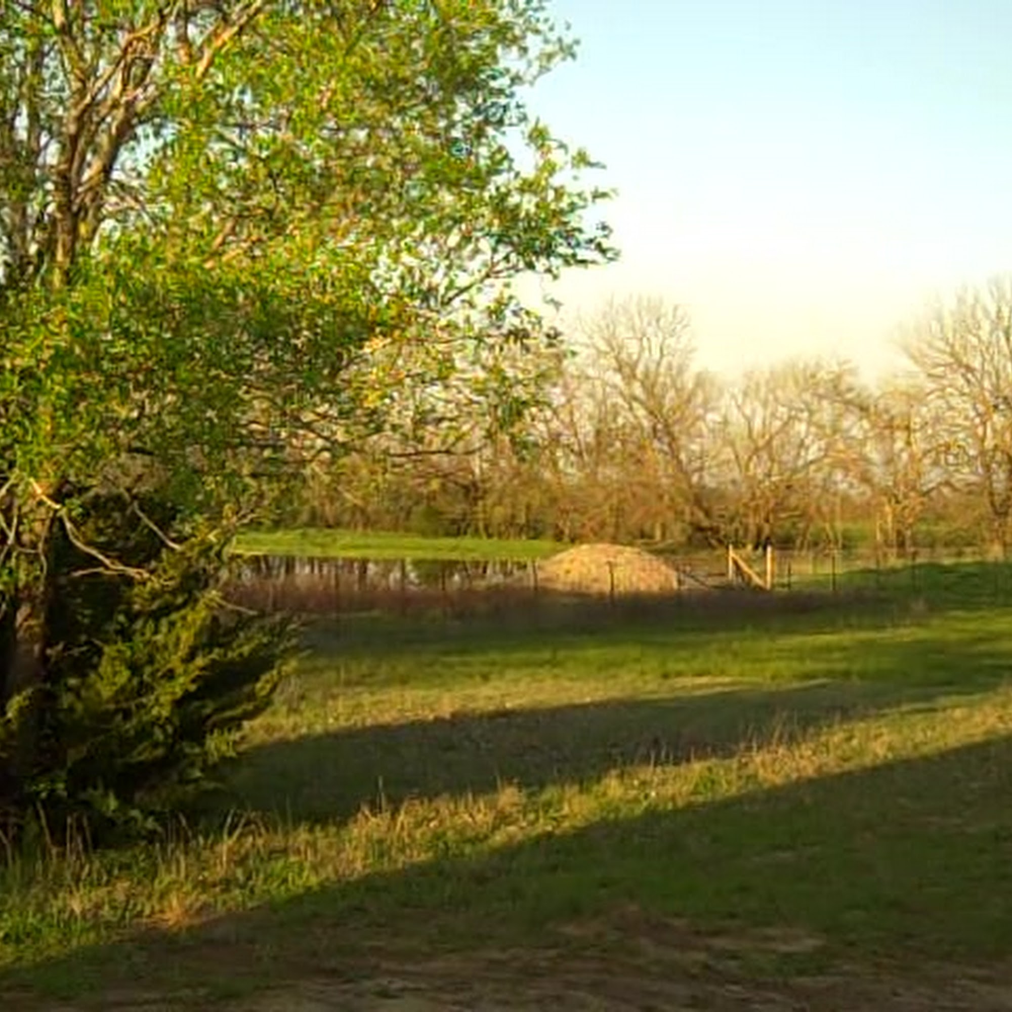 Rawhide Ranch Dog Boarding Mulvane