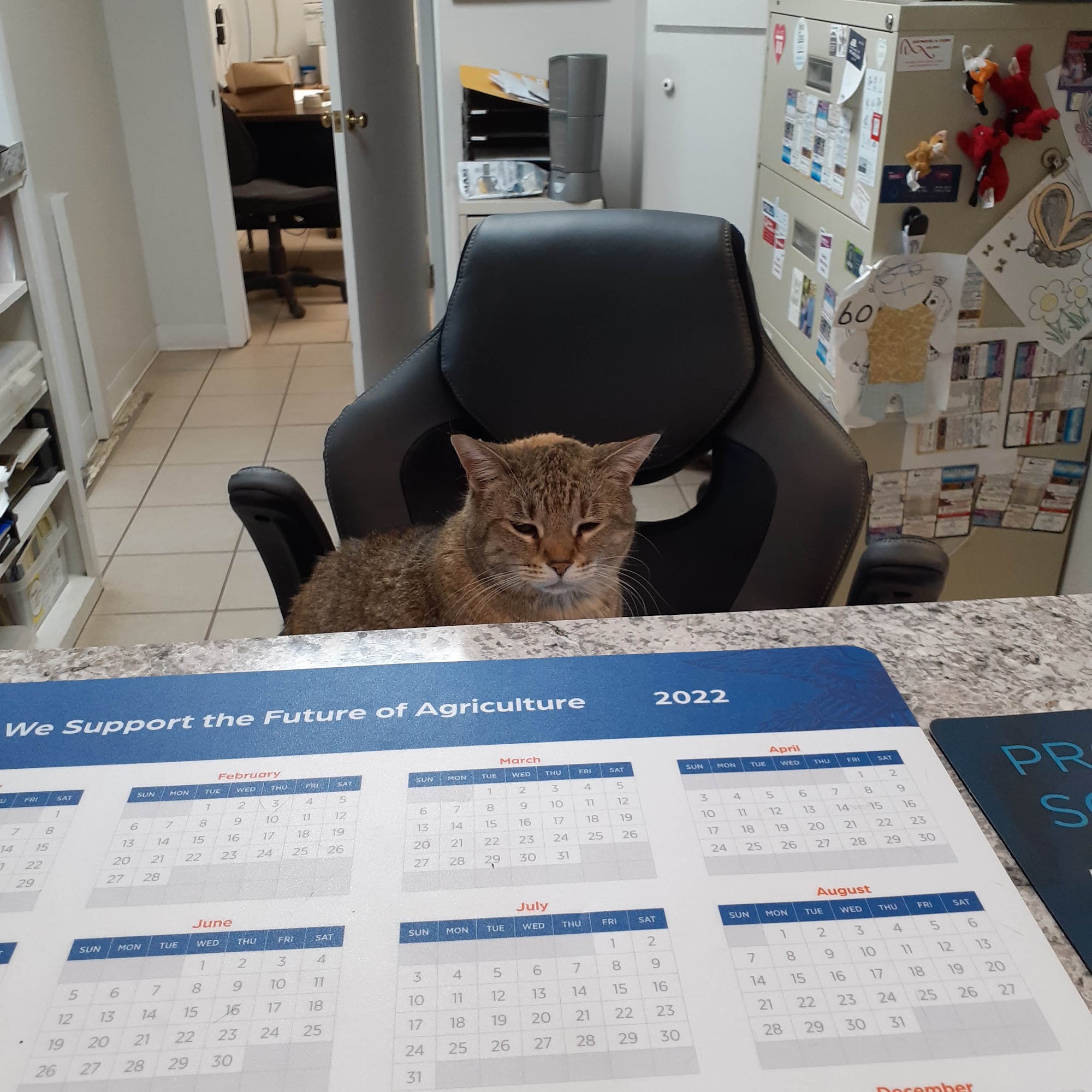 High Plains Veterinary Services PA Oberlin