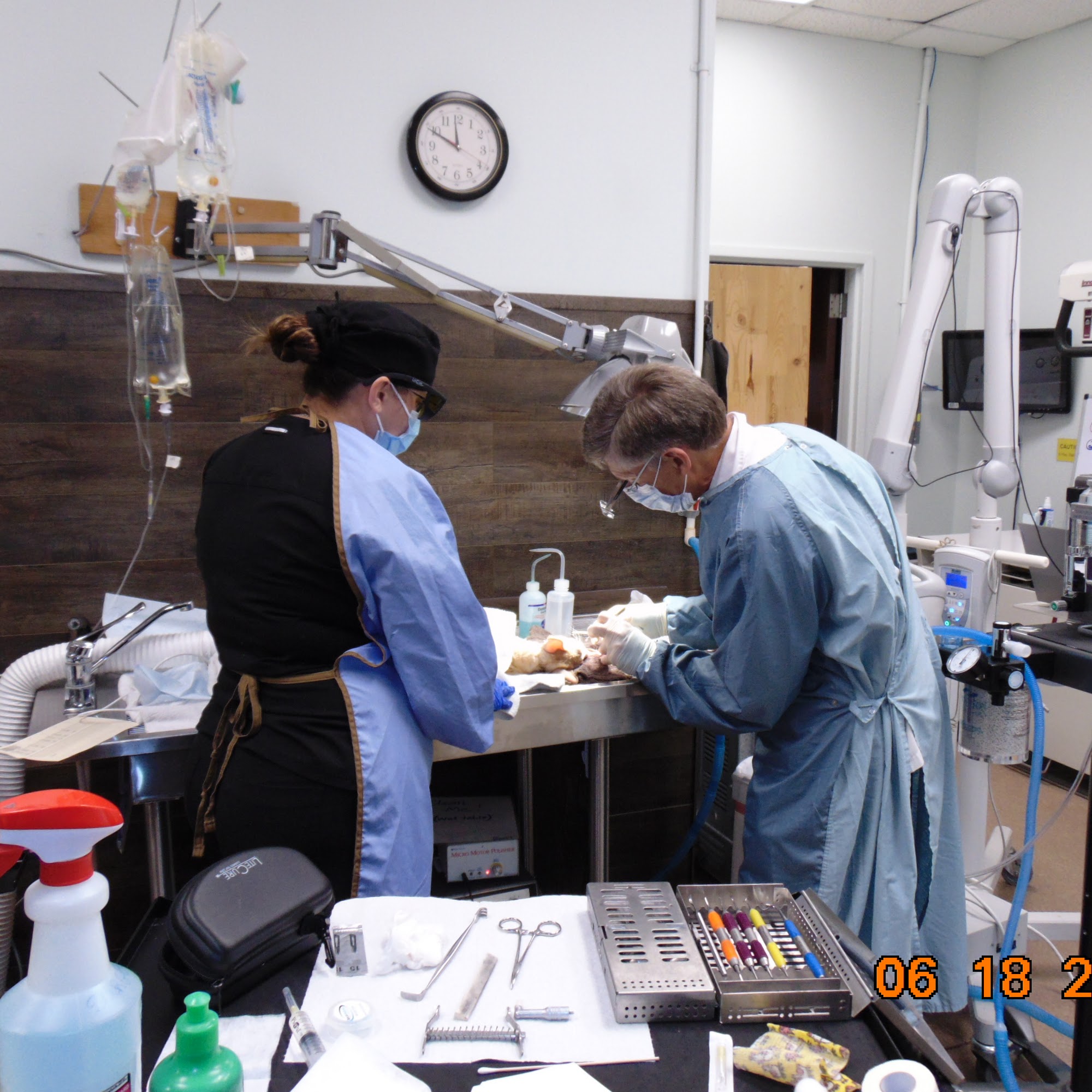 Santa Fe Pet Clinic Olathe