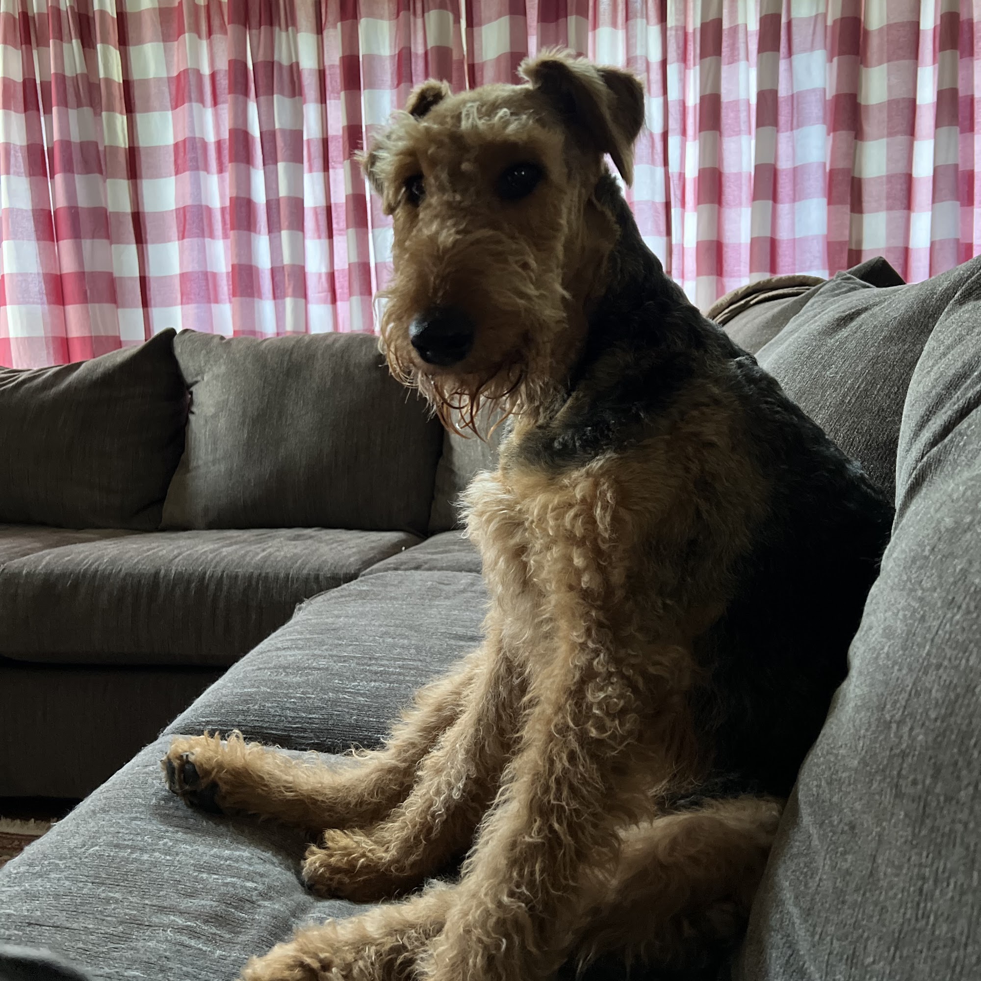 Santa Fe Pet Clinic: Dr. Leslie Wegele, DVM Olathe