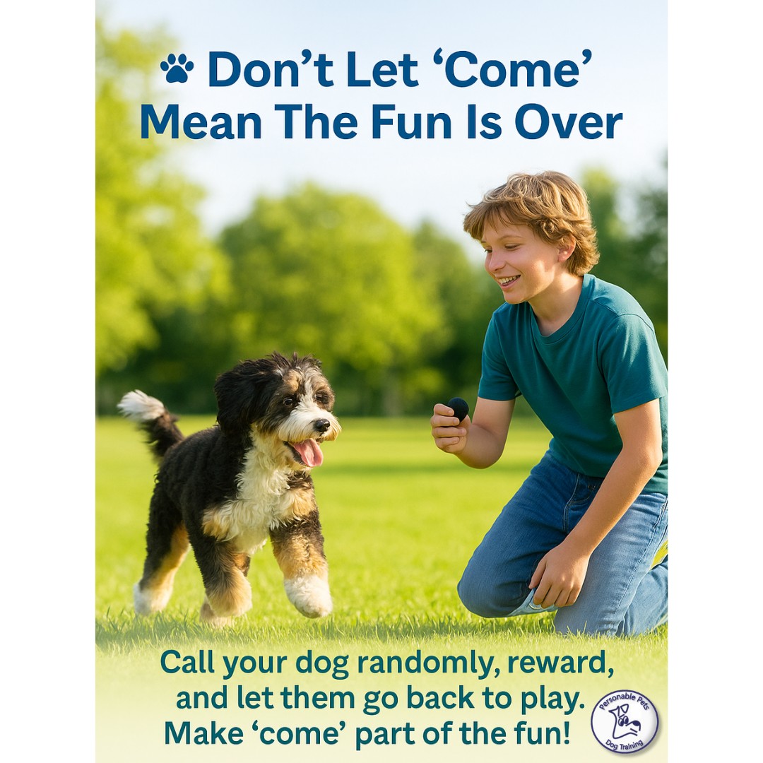 Personable Pets Dog Training Olathe