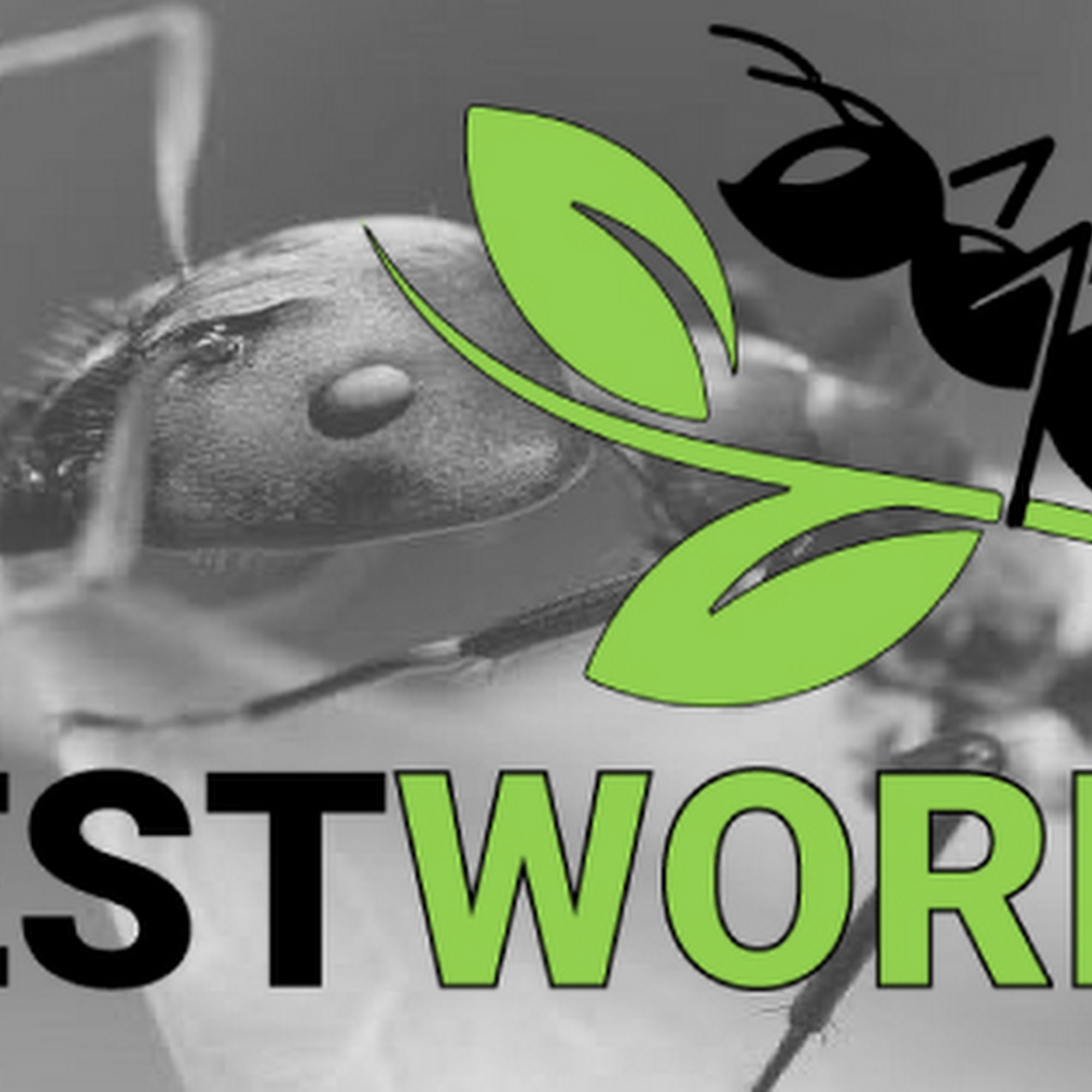 Pestworkx
