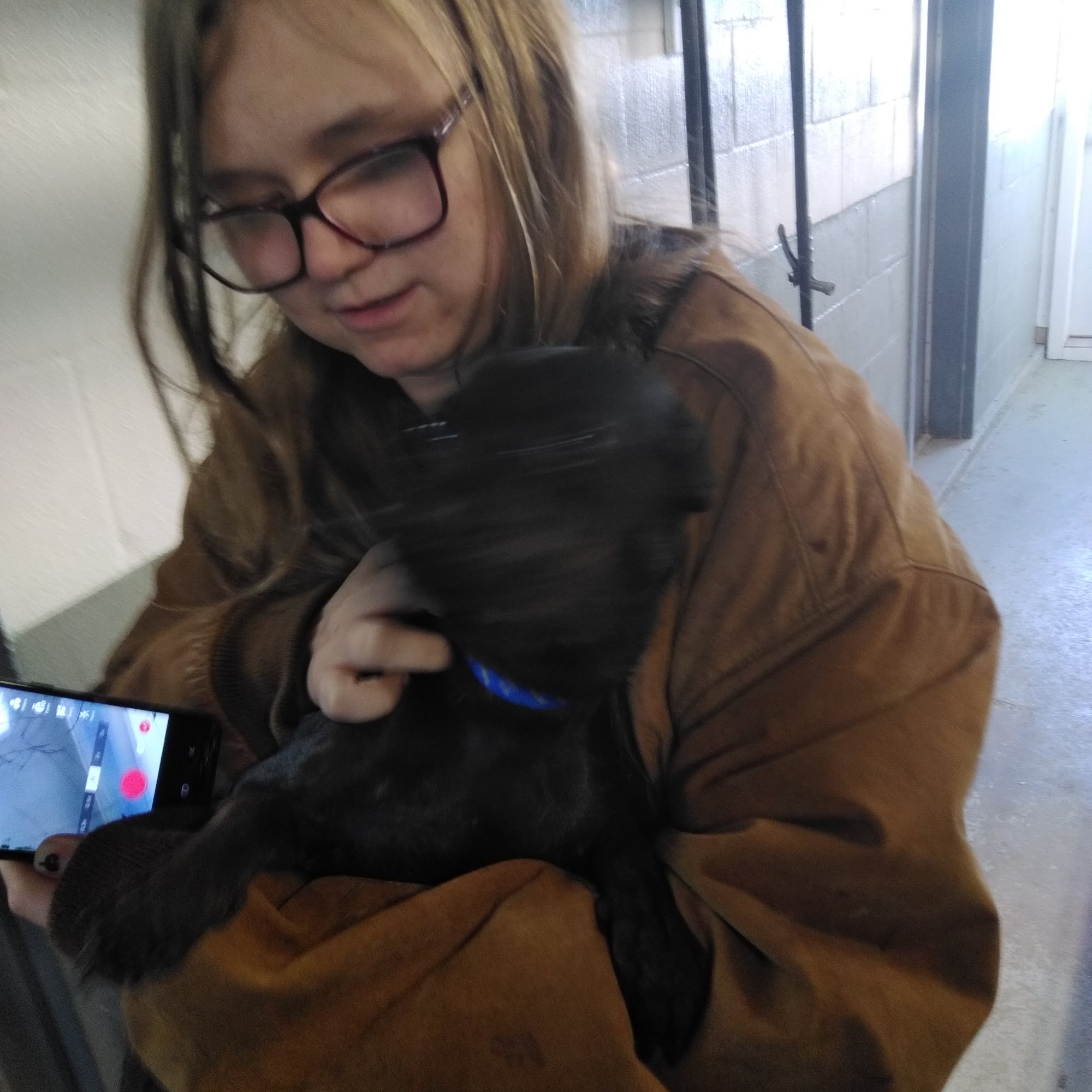 Osborne Veterinary Clinic Osborne