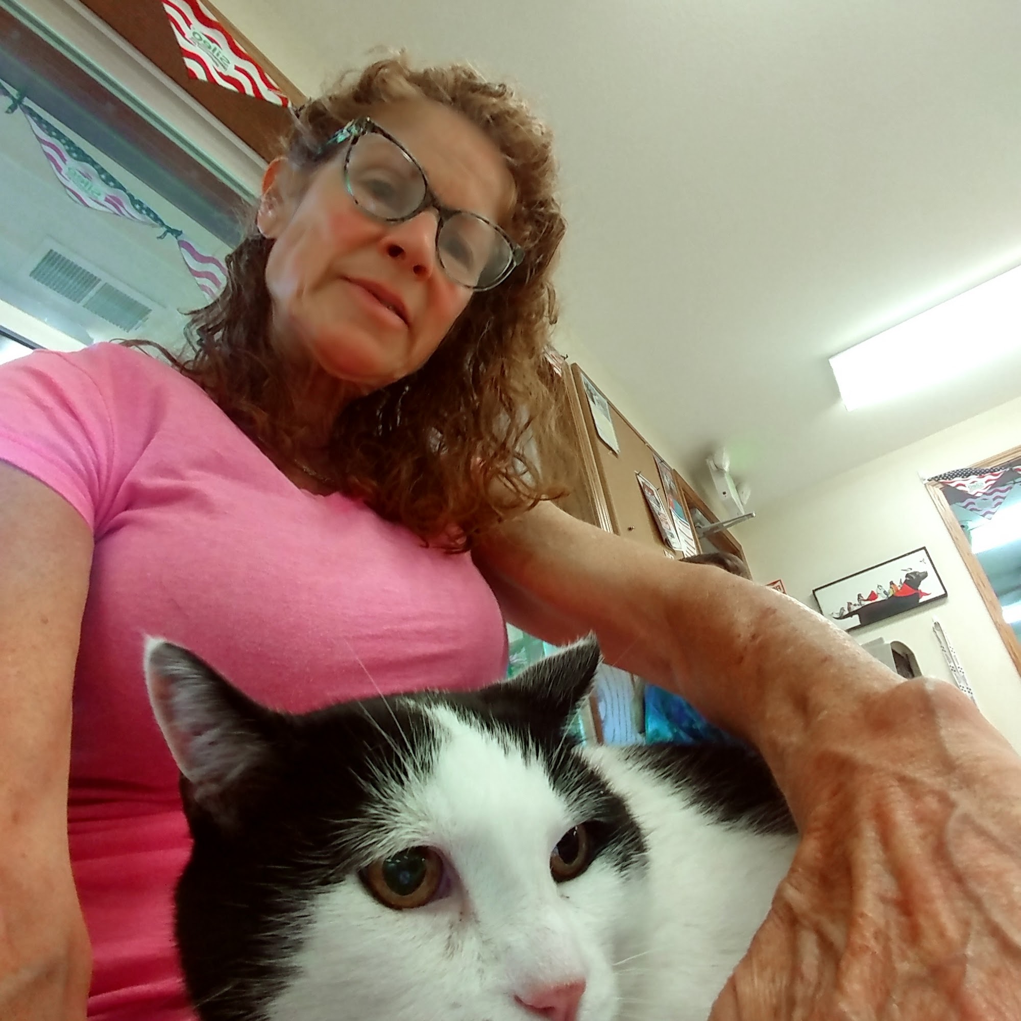 Ottawa Veterinary Hospital Ottawa