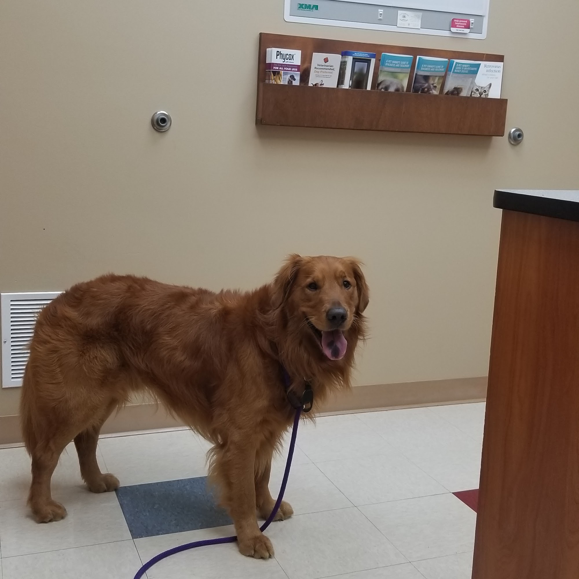 Cottonwood Animal Hospital Ottawa