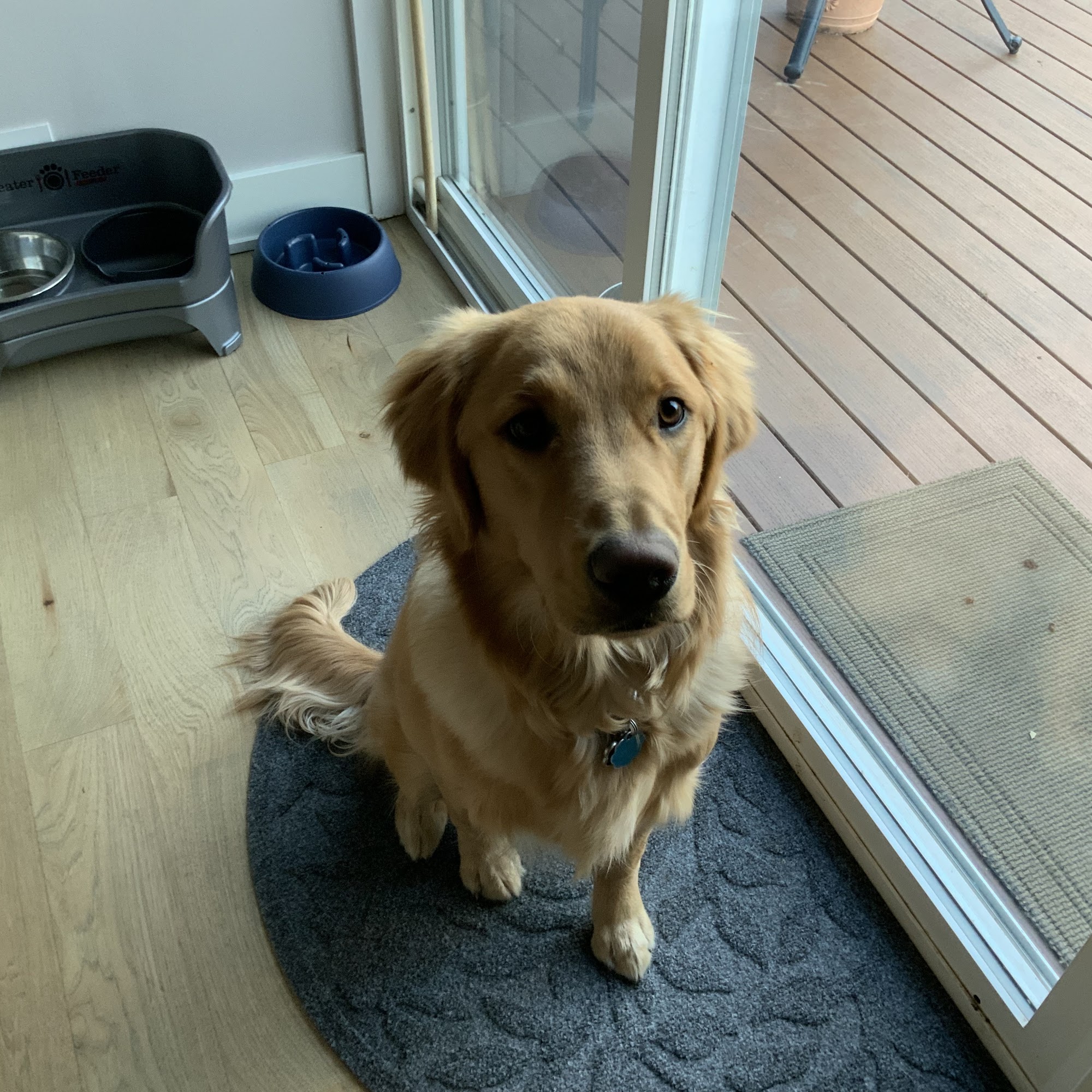 Lionsgate Pet Hospital Overland Park