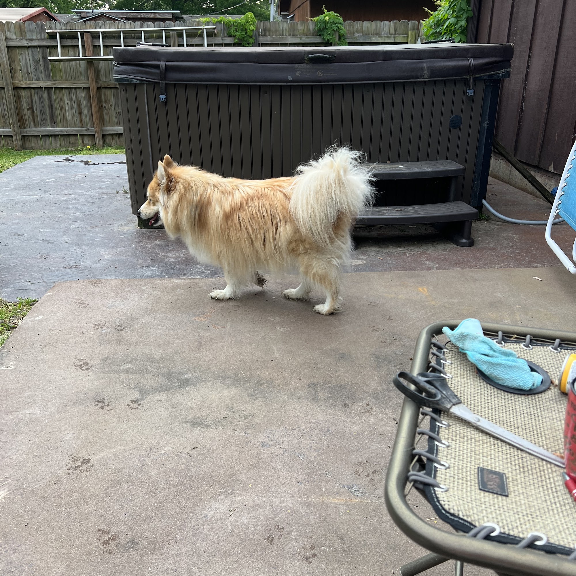 Pet Care & Surgery Center Pittsburg