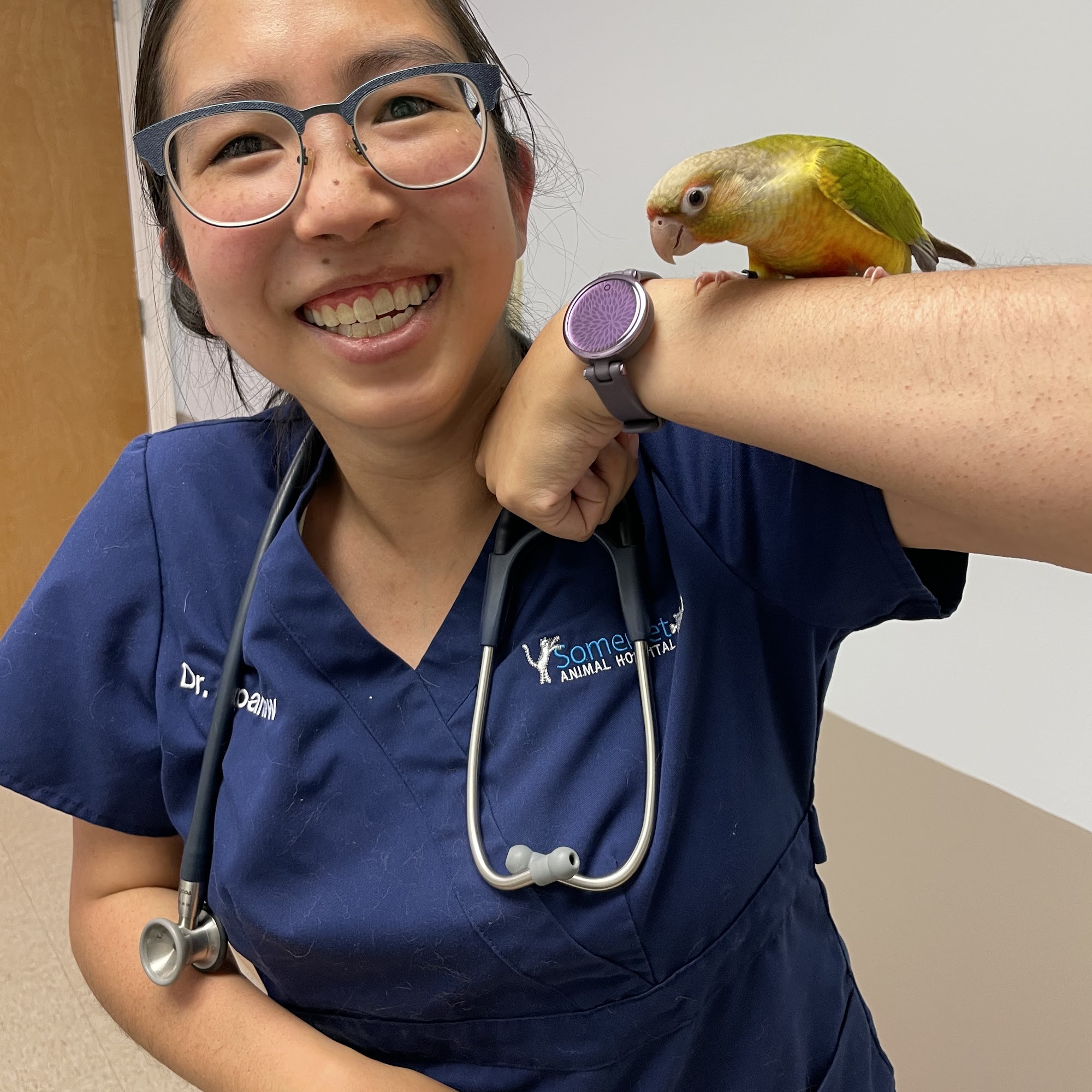 Somerset Animal Hospital Prairie Village